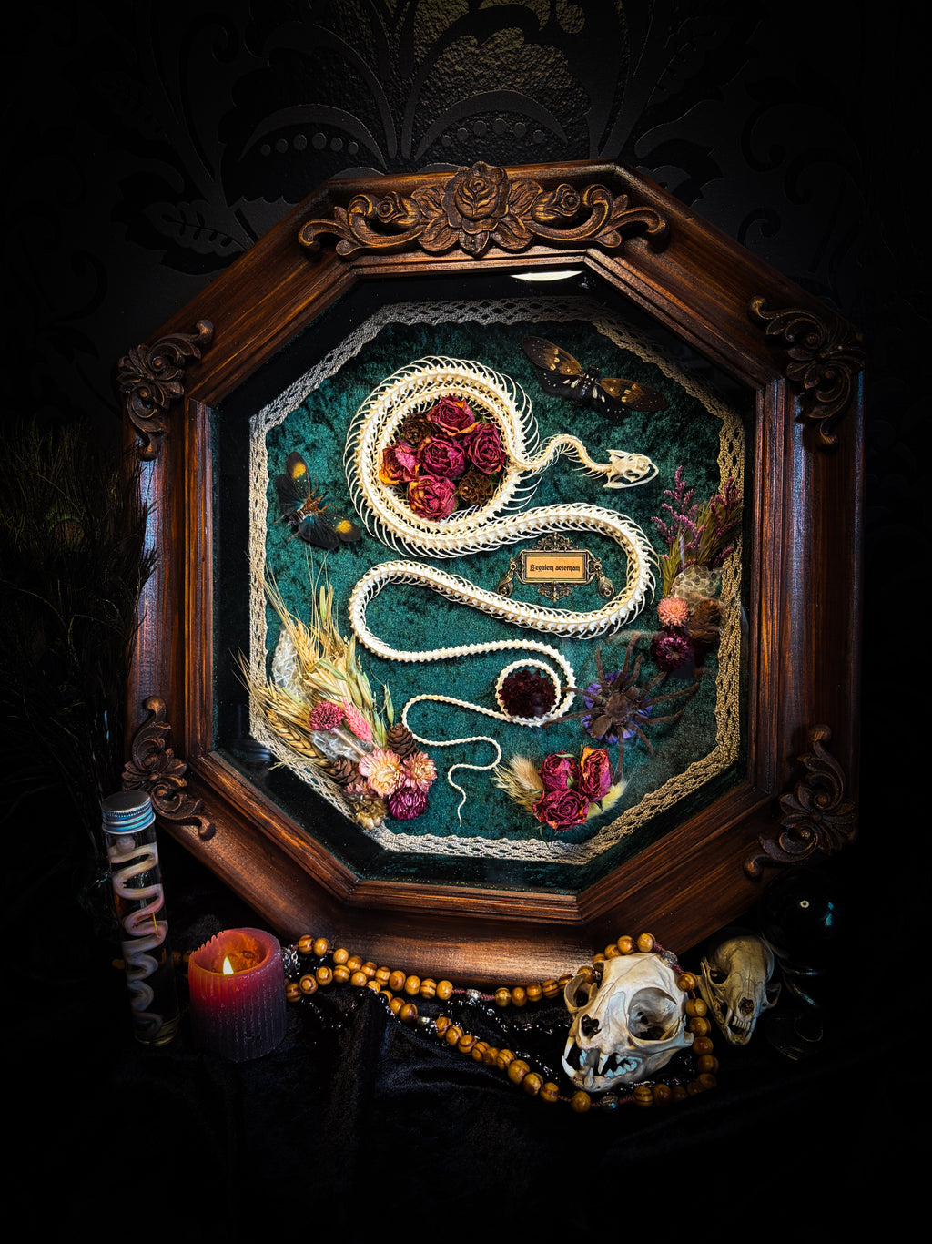 Decorative shadow box with a snake design, flowers, and a wooden frame on a dark background.Requiem Aeternam — handmade gothic shadowbox with articulated snake skeleton, preserved tarantula, cicadas and florals on deep forest-green velvet | Morbid Oddities

