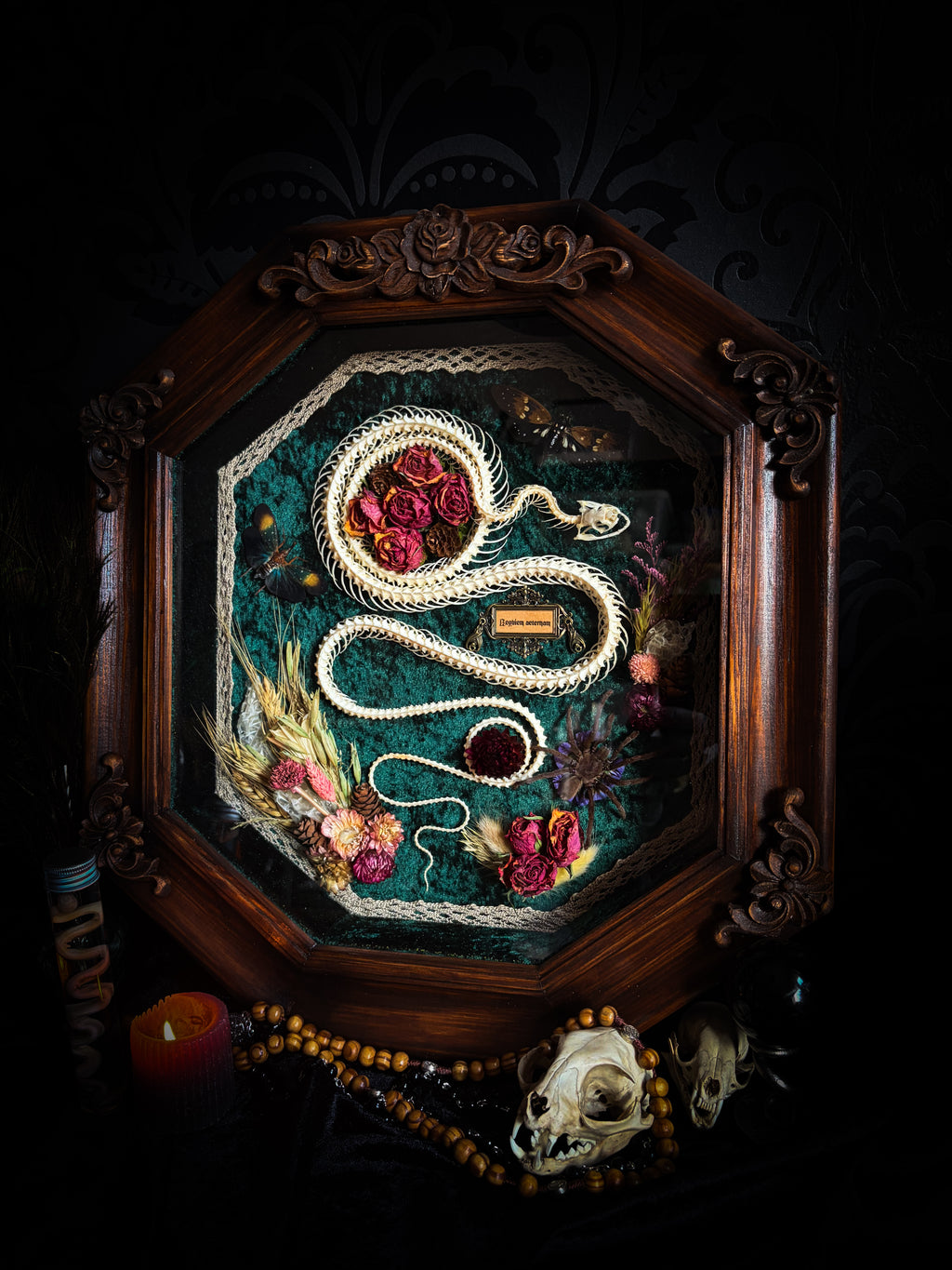 Decorative framed artwork with embroidered design and natural elements on a dark background Requiem Aeternam — handmade gothic shadowbox with articulated snake skeleton, preserved tarantula, cicadas and florals on deep forest-green velvet | Morbid Oddities

