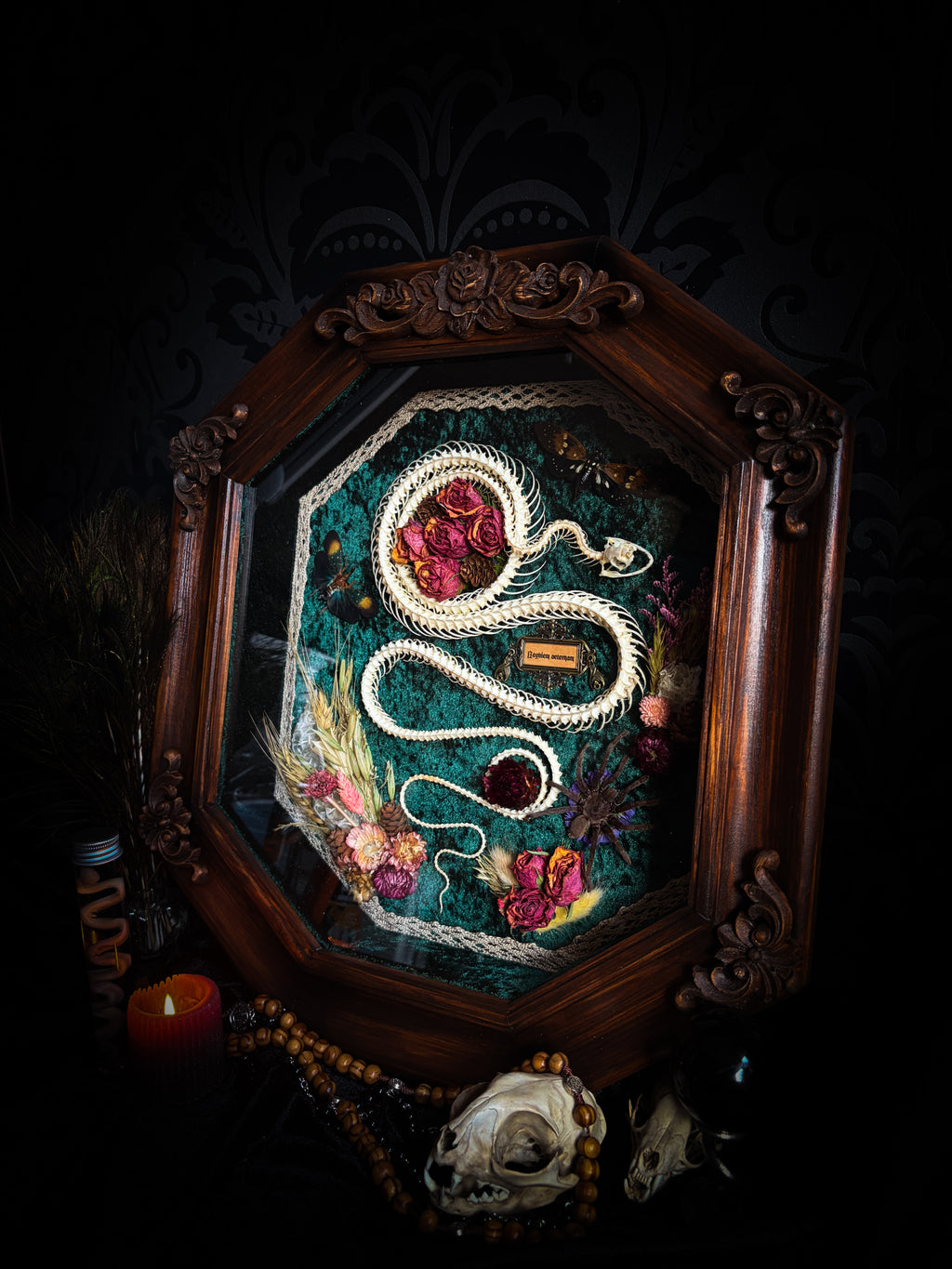 Decorative shadow box with a snake and flowers in a wooden frame on a dark background Requiem Aeternam — handmade gothic shadowbox with articulated snake skeleton, preserved tarantula, cicadas and florals on deep forest-green velvet | Morbid Oddities


