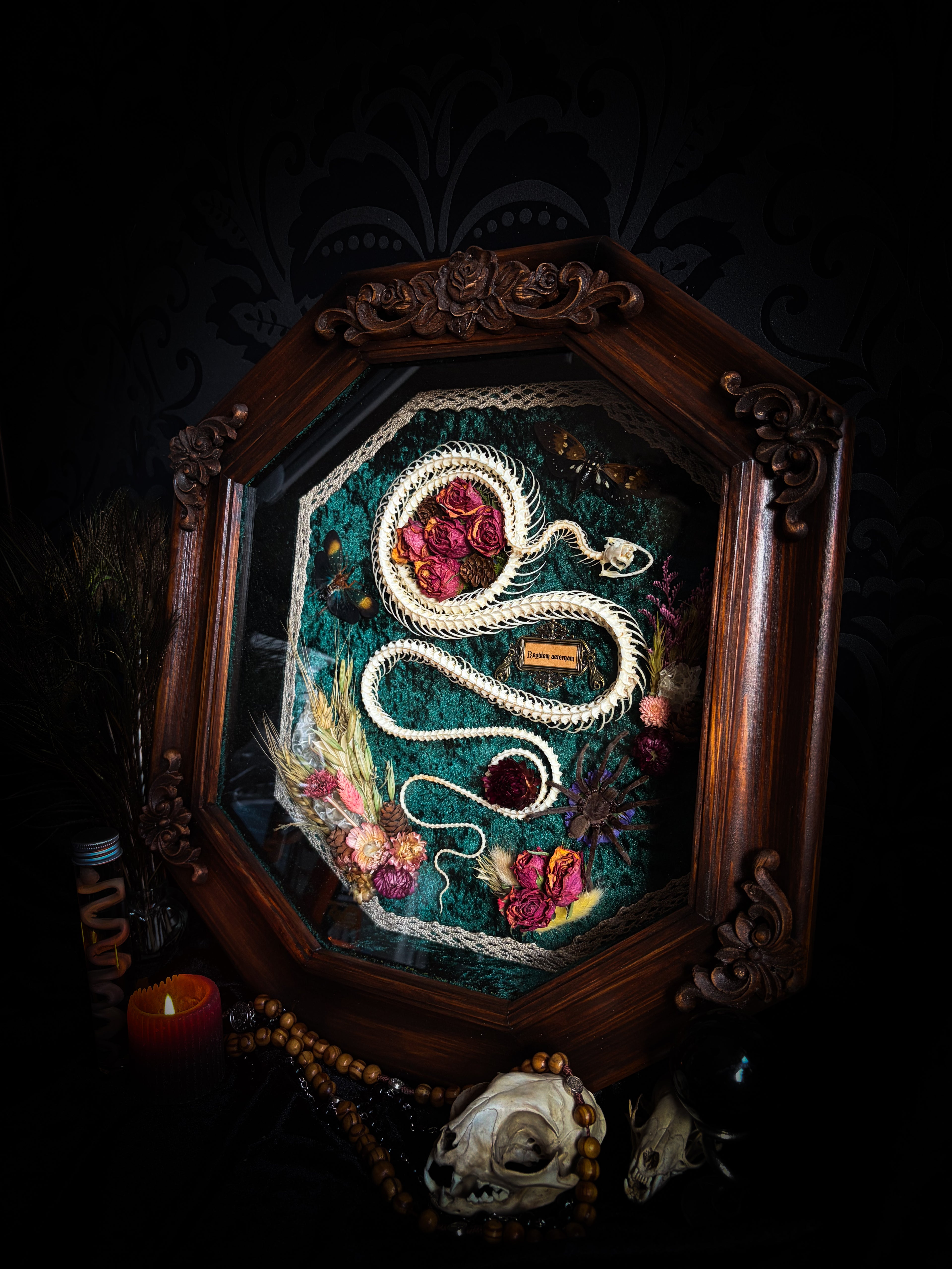 Decorative shadow box with a snake and flowers in a wooden frame on a dark background Requiem Aeternam — handmade gothic shadowbox with articulated snake skeleton, preserved tarantula, cicadas and florals on deep forest-green velvet | Morbid Oddities

