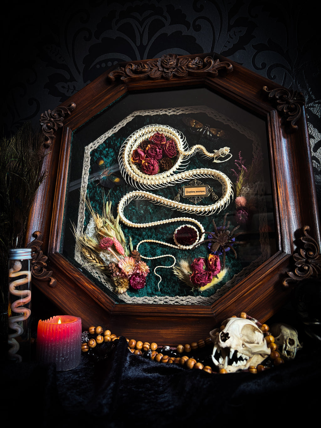 Decorative shadow box with a snake and flowers, surrounded by candles and skulls on a dark background. Requiem Aeternam — handmade gothic shadowbox with articulated snake skeleton, preserved tarantula, cicadas and florals on deep forest-green velvet | Morbid Oddities

