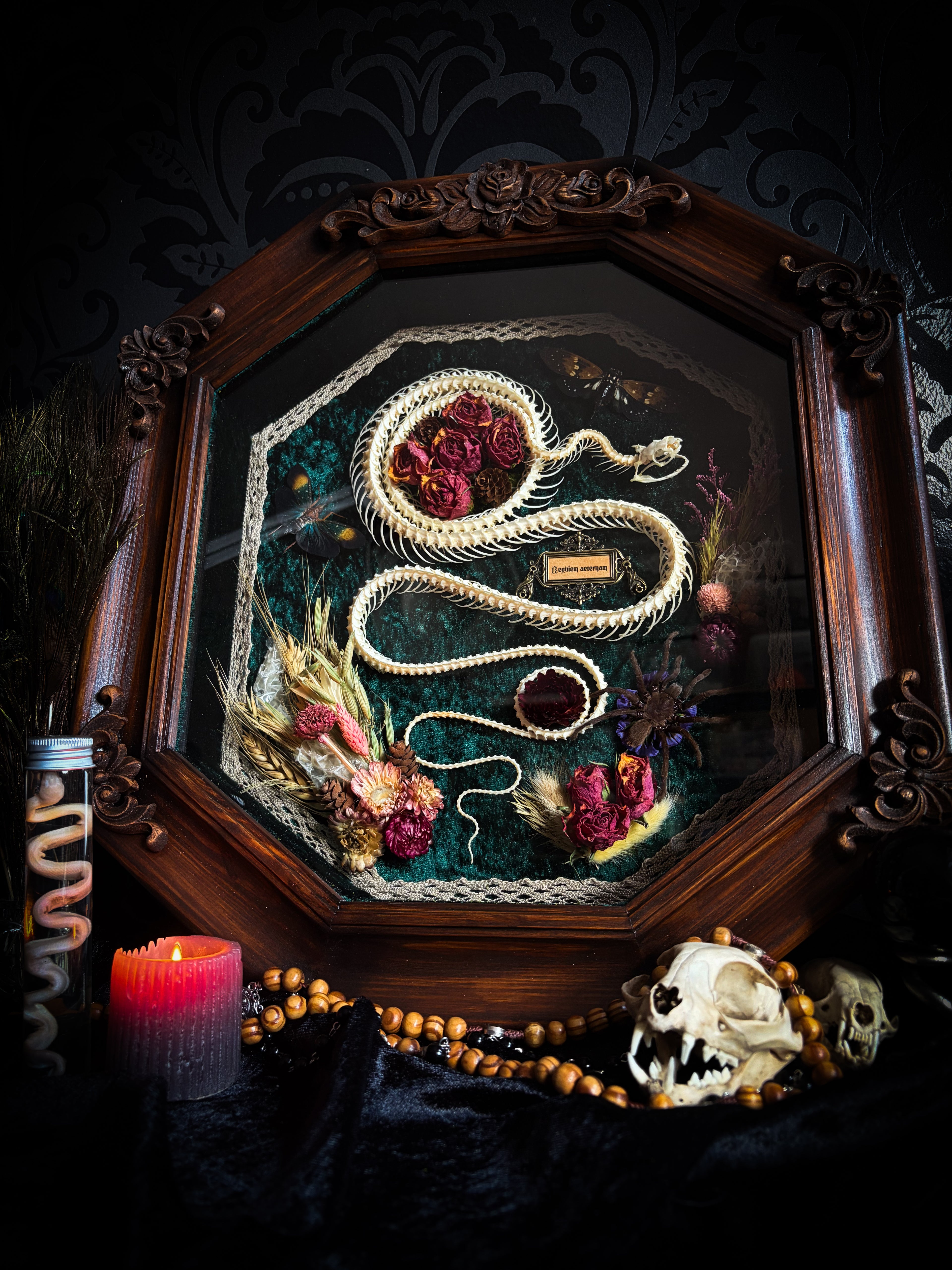 Decorative shadow box with a snake and flowers, surrounded by candles and skulls on a dark background. Requiem Aeternam — handmade gothic shadowbox with articulated snake skeleton, preserved tarantula, cicadas and florals on deep forest-green velvet | Morbid Oddities

