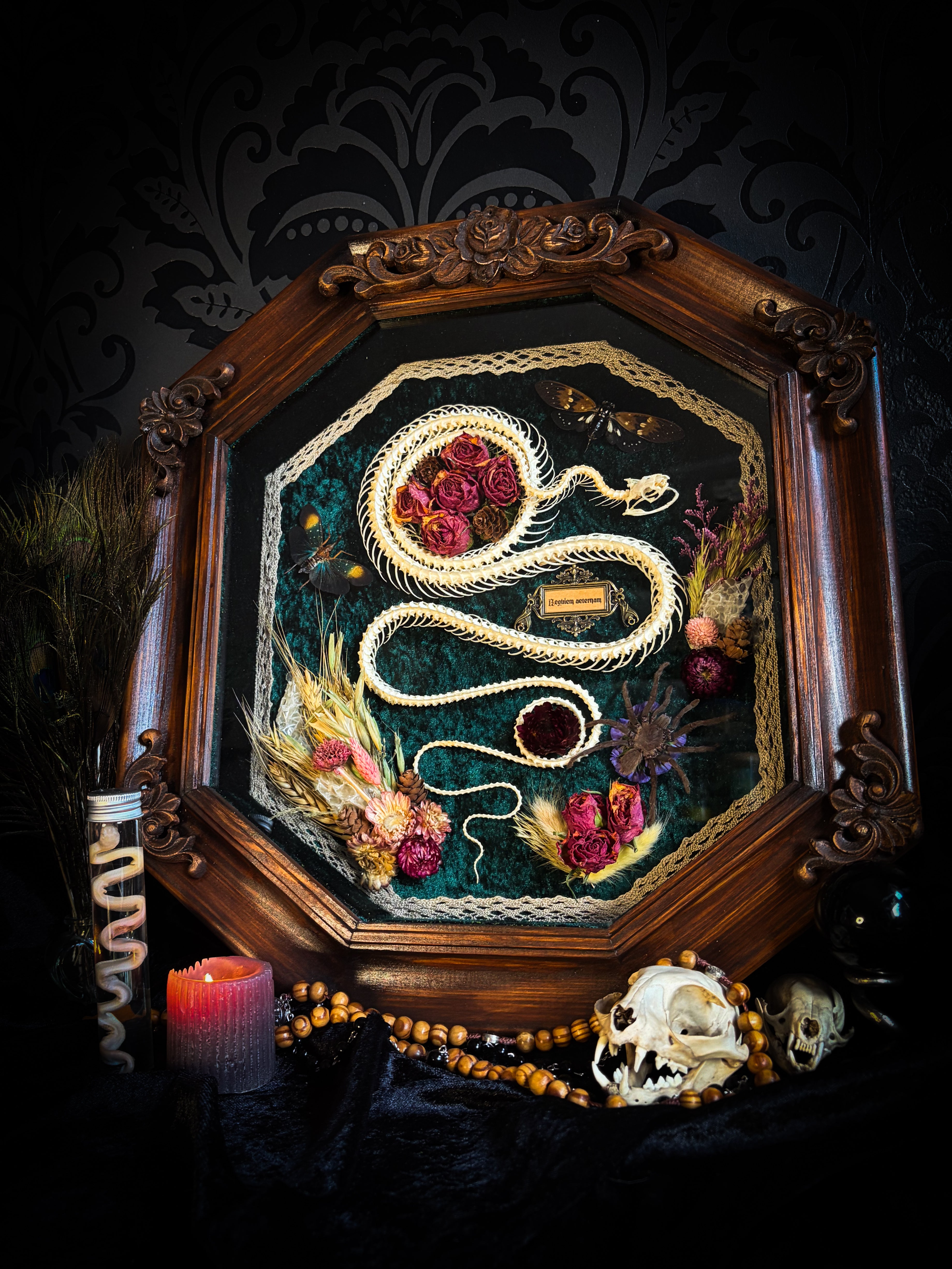 Handmade gothic shadowbox — articulated snake skeleton, preserved tarantula and cicadas, dried roses and botanicals on forest-green velvet, ornate wooden frame