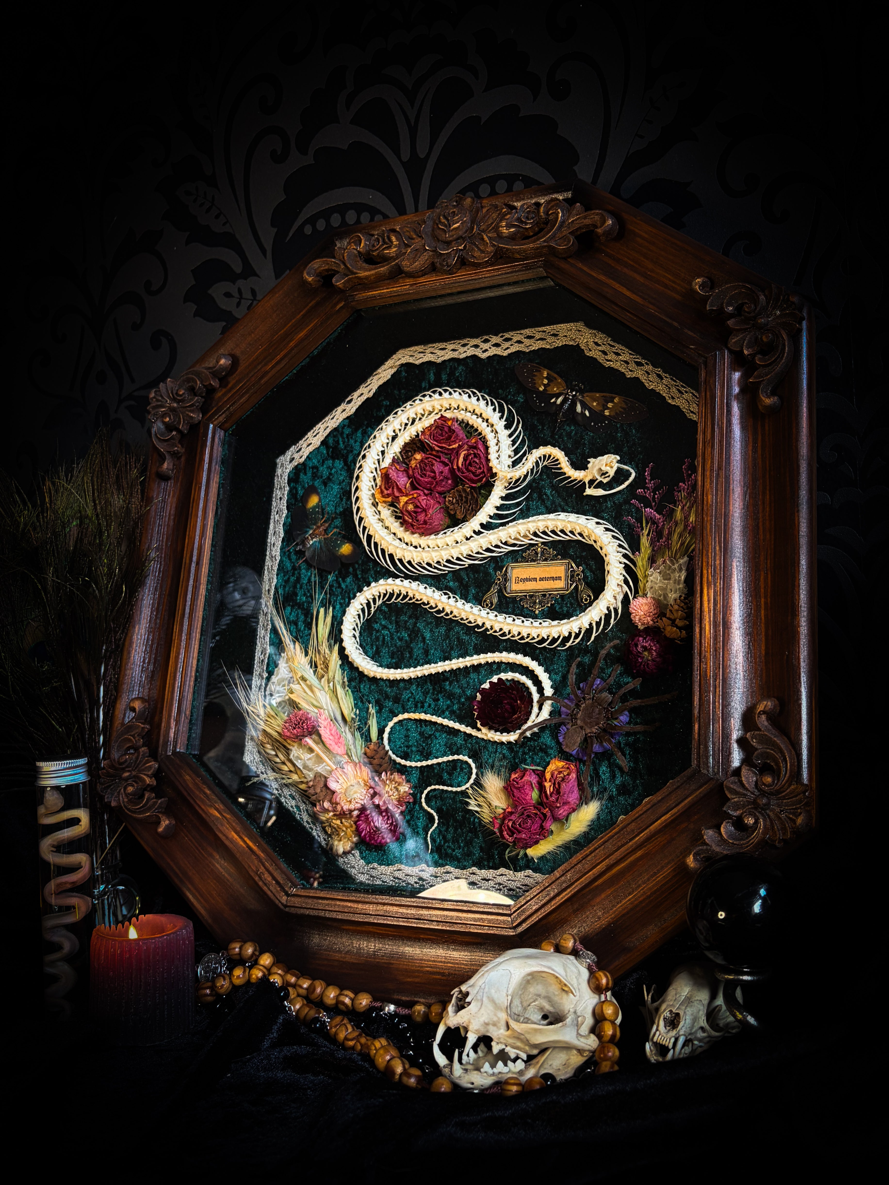 Decorative frame with a snake and floral arrangement on a dark background Requiem Aeternam — handmade gothic shadowbox with articulated snake skeleton, preserved tarantula, cicadas and florals on deep forest-green velvet | Morbid Oddities

