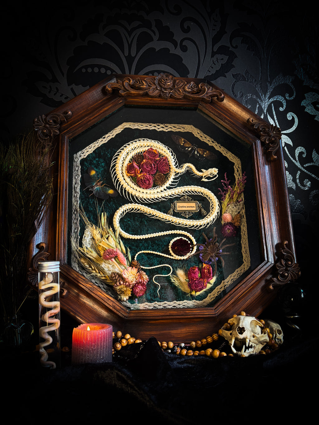 Handmade gothic shadowbox — articulated snake skeleton, preserved tarantula and cicadas, dried roses and botanicals on forest-green velvet, ornate wooden frame