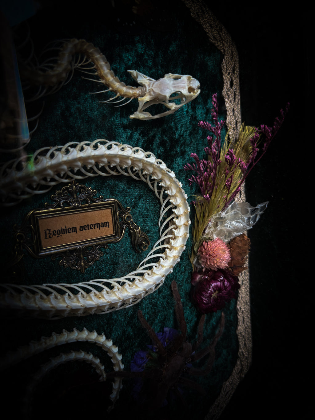 Decorative arrangement with a snake, skull, and flowers on a dark background Requiem Aeternam — handmade gothic shadowbox with articulated snake skeleton, preserved tarantula, cicadas and florals on deep forest-green velvet | Morbid Oddities

