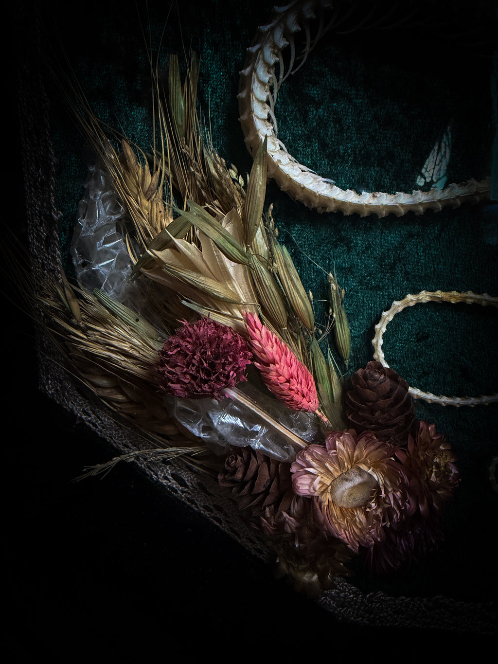 Decorative wreath with dried flowers, pinecones, and feathers on a dark background Requiem Aeternam — handmade gothic shadowbox with articulated snake skeleton, preserved tarantula, cicadas and florals on deep forest-green velvet | Morbid Oddities

