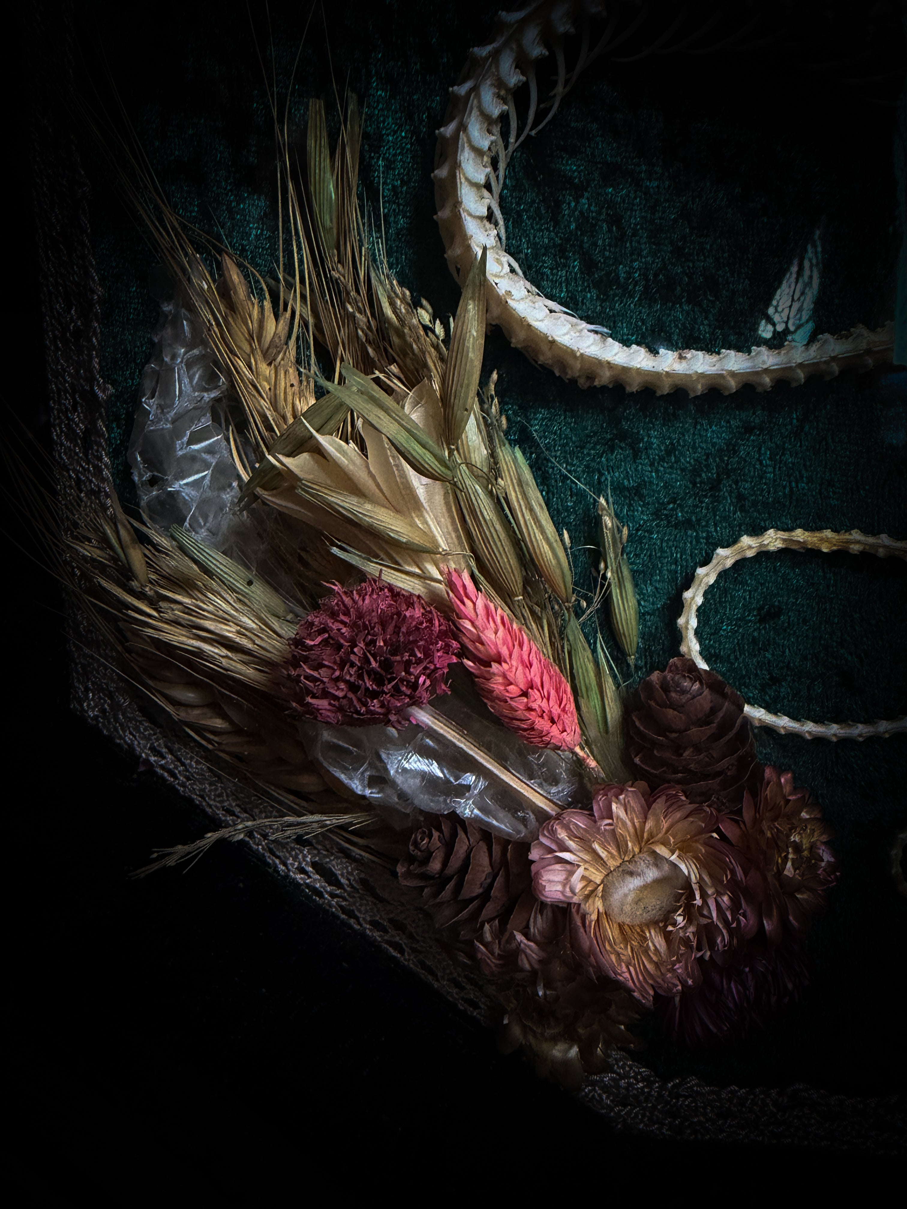 Decorative wreath with dried flowers, pinecones, and feathers on a dark background Requiem Aeternam — handmade gothic shadowbox with articulated snake skeleton, preserved tarantula, cicadas and florals on deep forest-green velvet | Morbid Oddities

