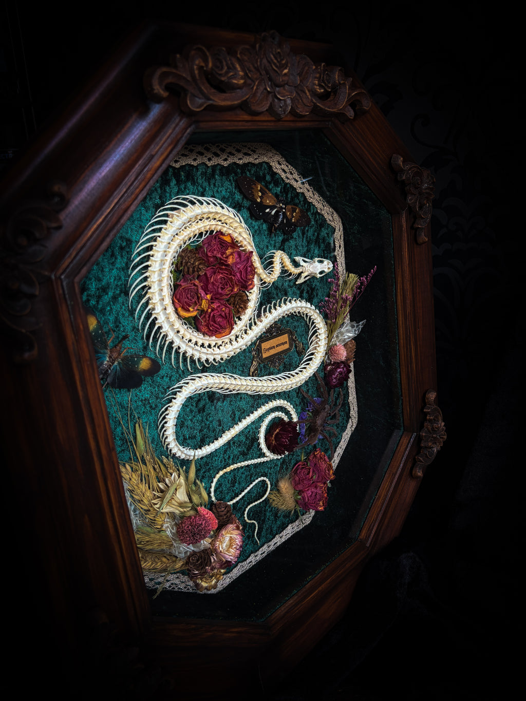 Embroidered artwork of a dragon with flowers and leaves in a wooden frame. Requiem Aeternam — handmade gothic shadowbox with articulated snake skeleton, preserved tarantula, cicadas and florals on deep forest-green velvet | Morbid Oddities

