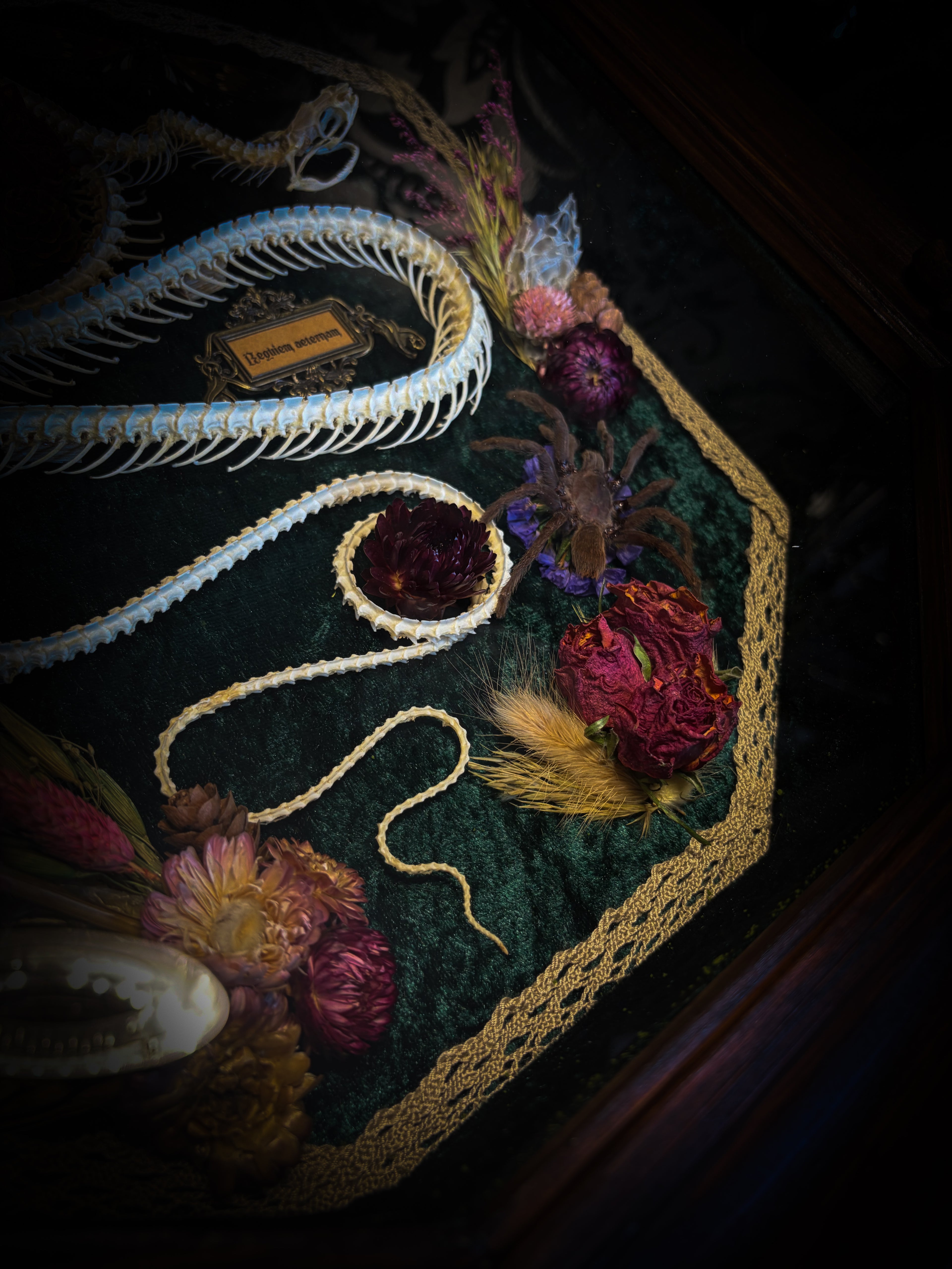 Close-up of an embroidered fabric with floral patterns and textures. Requiem Aeternam — handmade gothic shadowbox with articulated snake skeleton, preserved tarantula, cicadas and florals on deep forest-green velvet | Morbid Oddities

