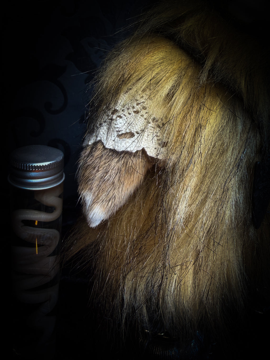 Ilor | Silent Companions