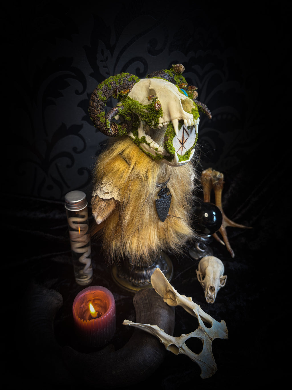 Ilor | Silent Companions