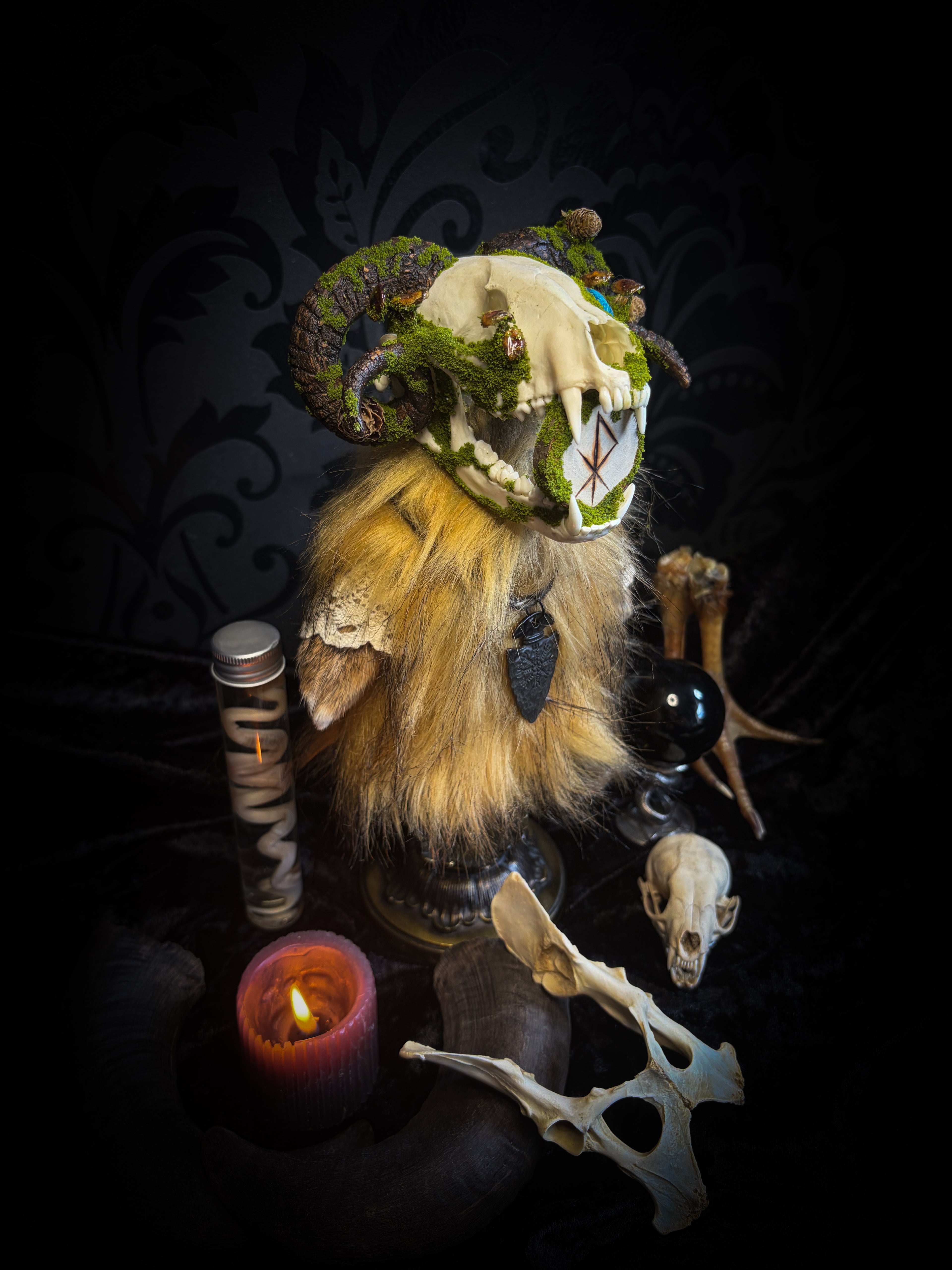 Ilor | Silent Companions