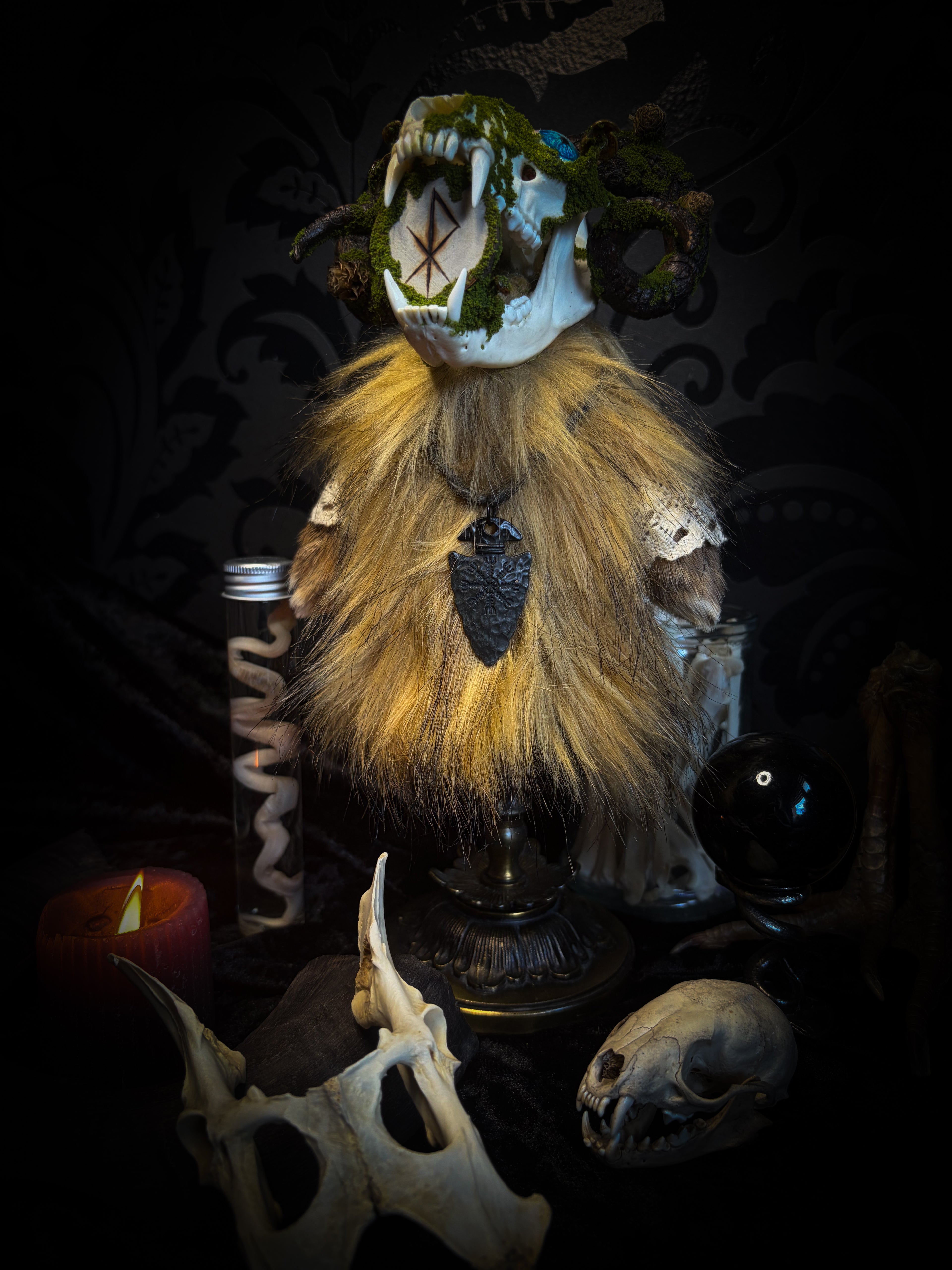 Ilor | Silent Companions