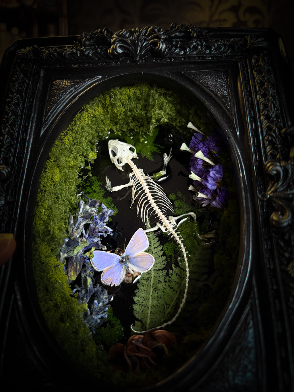 Viridis Somnia | handmade gothic shadowbox with agama skeleton, resin lake surface, blue butterfly and moss | Morbid Oddities
