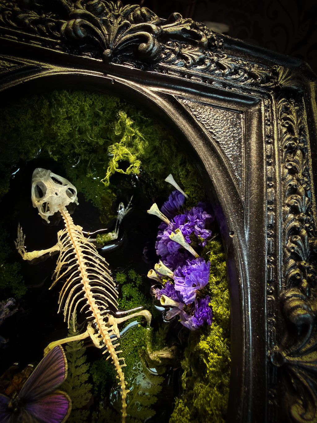 Viridis Somnia | handmade gothic shadowbox with agama skeleton, resin lake surface, blue butterfly and moss | Morbid Oddities
