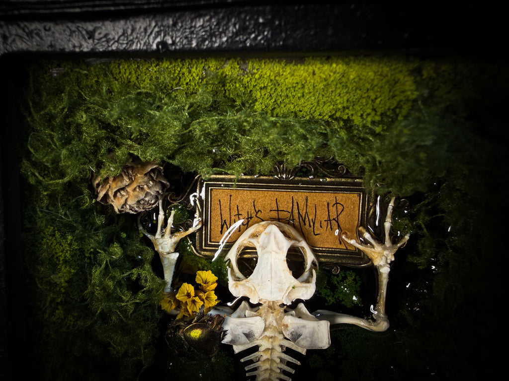 Bufo Viridis | handmade gothic shadowbox with toad skeleton, resin lake surface, green beetles and moss | Morbid Oddities
