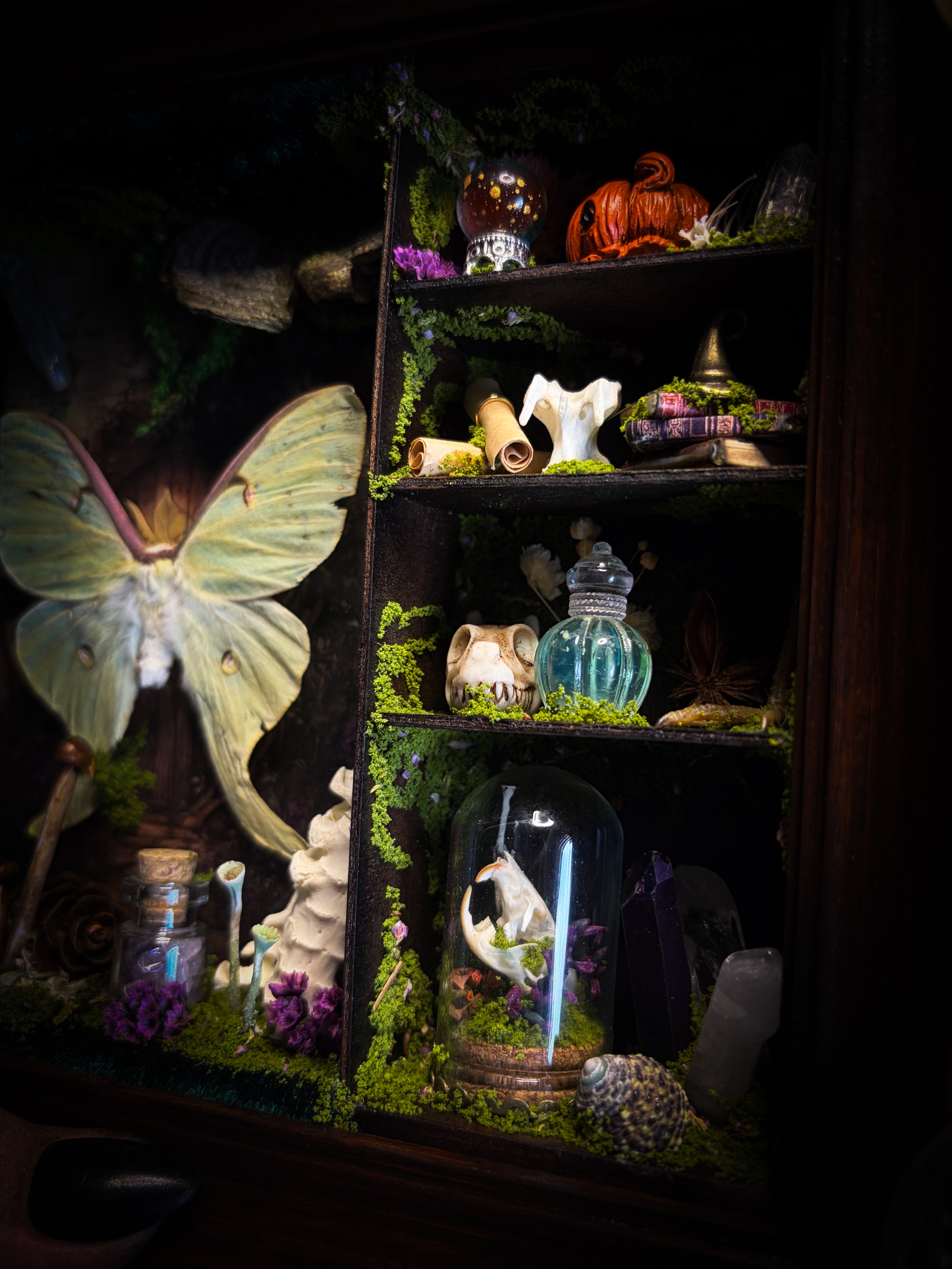 The Librarian | handmade whimsical witch's library shadowbox with Actias luna moth, miniature shelves, crystals, skulls, spell books and curiosities, dark wood frame with green velvet | Morbid Oddities

