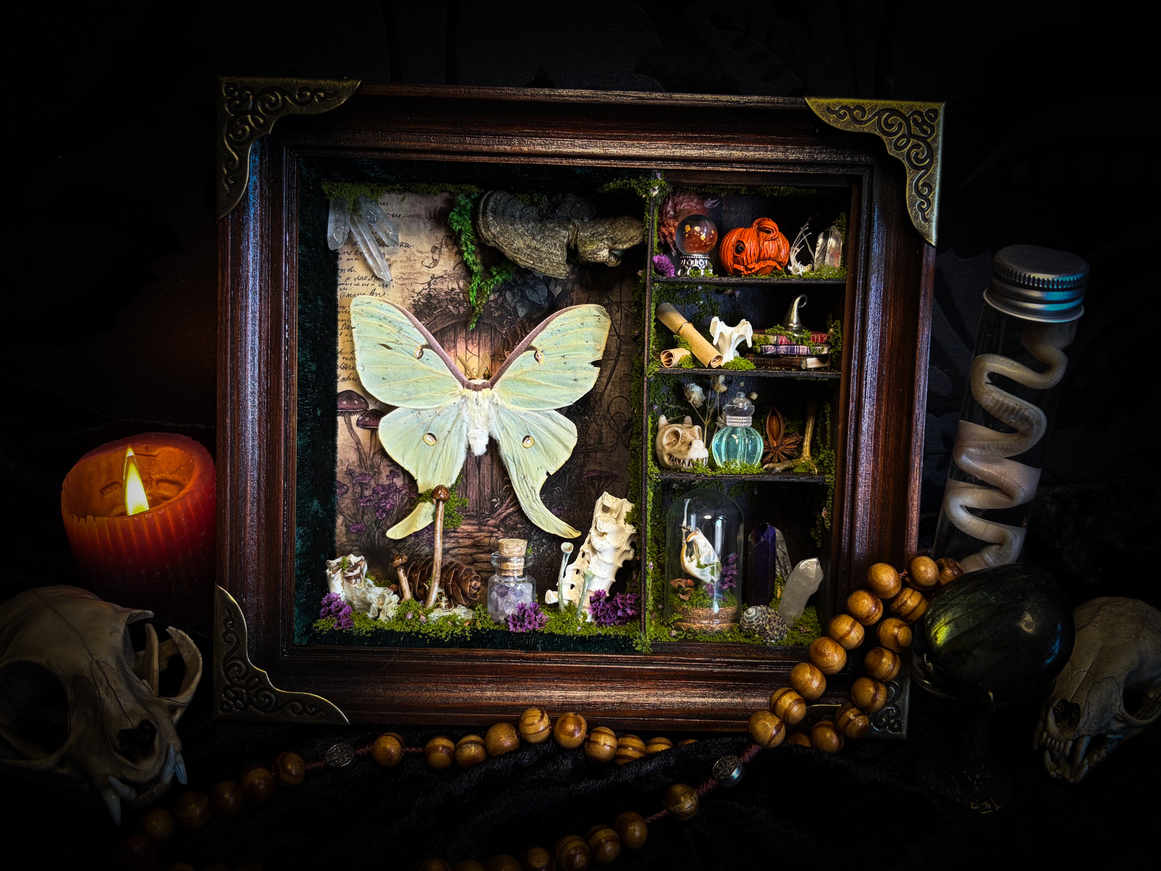 The Librarian | handmade whimsical witch's library shadowbox with Actias luna moth, miniature shelves, crystals, skulls, spell books and curiosities, dark wood frame with green velvet | Morbid Oddities
