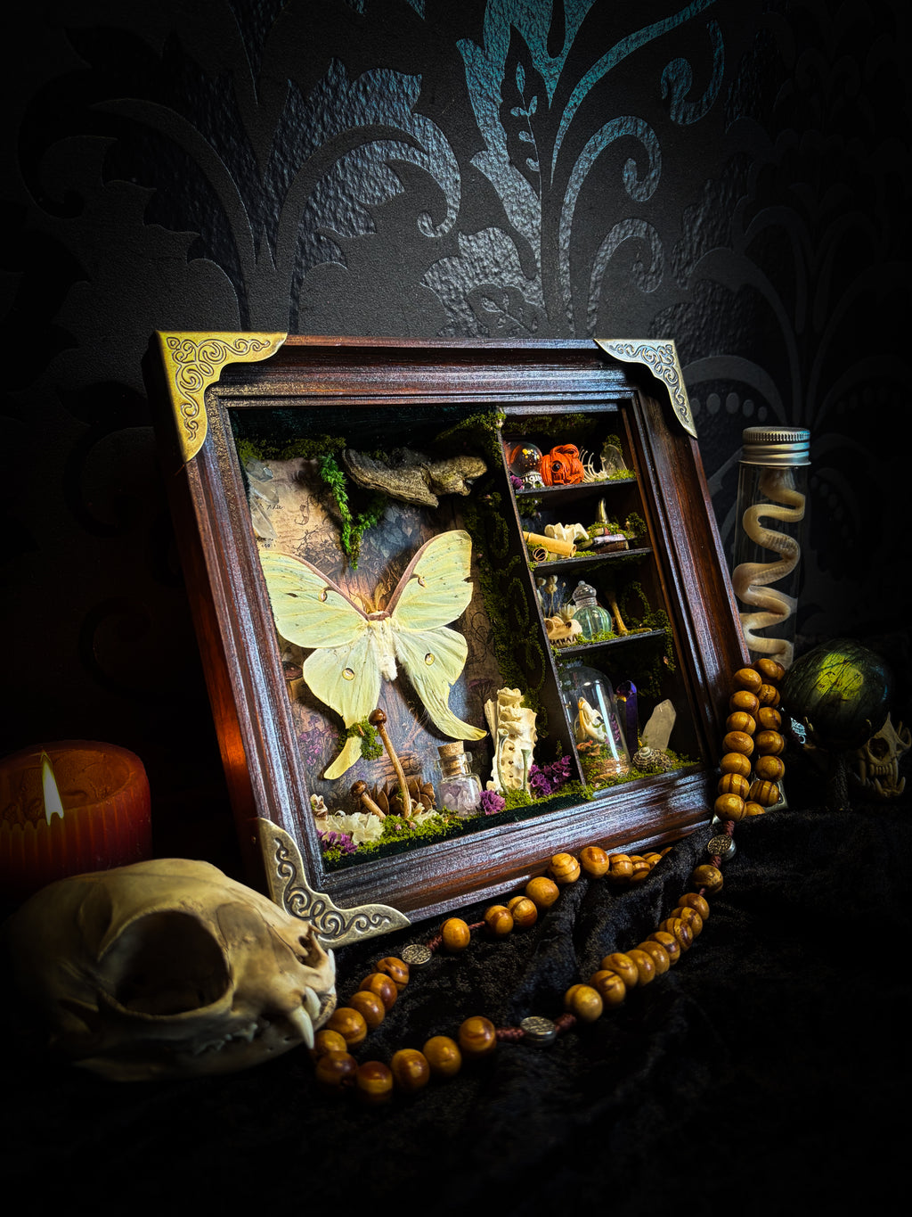 The Librarian | handmade whimsical witch's library shadowbox with Actias luna moth, miniature shelves, crystals, skulls, spell books and curiosities, dark wood frame with green velvet | Morbid Oddities

