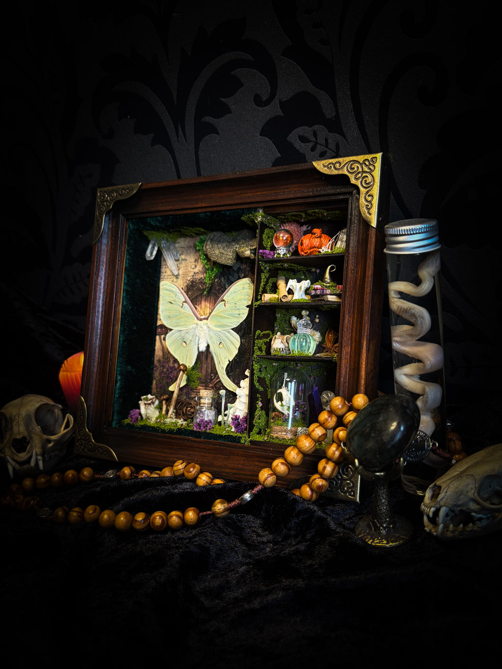 The Librarian | handmade whimsical witch's library shadowbox with Actias luna moth, miniature shelves, crystals, skulls, spell books and curiosities, dark wood frame with green velvet | Morbid Oddities
