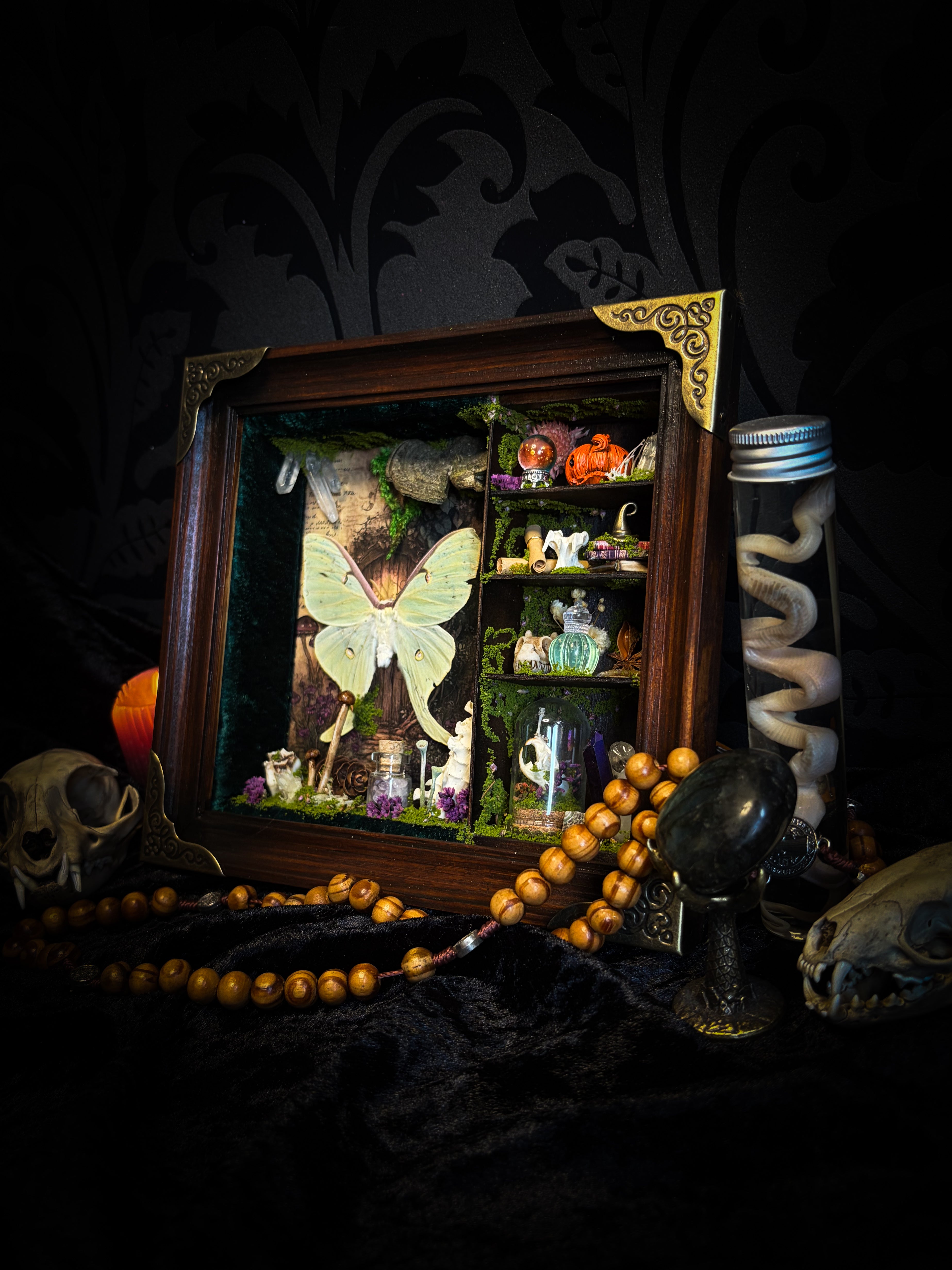 The Librarian | handmade whimsical witch's library shadowbox with Actias luna moth, miniature shelves, crystals, skulls, spell books and curiosities, dark wood frame with green velvet | Morbid Oddities
