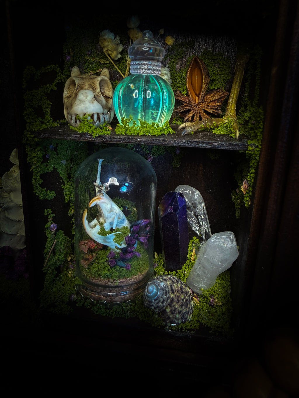 The Librarian | handmade whimsical witch's library shadowbox with Actias luna moth, miniature shelves, crystals, skulls, spell books and curiosities, dark wood frame with green velvet | Morbid Oddities
