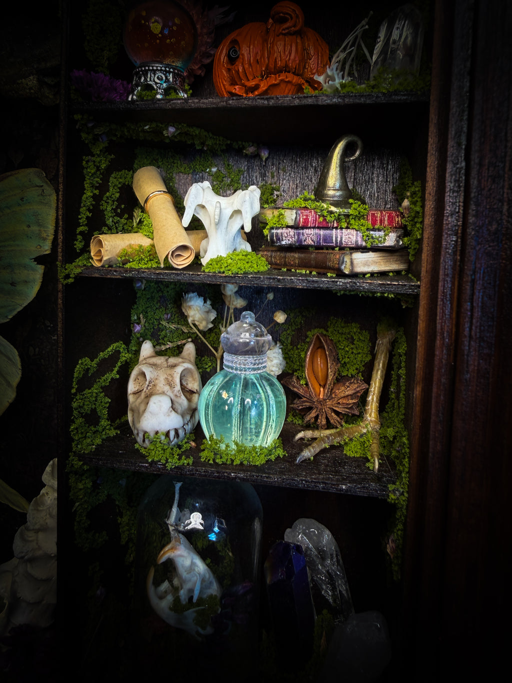 The Librarian | handmade whimsical witch's library shadowbox with Actias luna moth, miniature shelves, crystals, skulls, spell books and curiosities, dark wood frame with green velvet | Morbid Oddities
