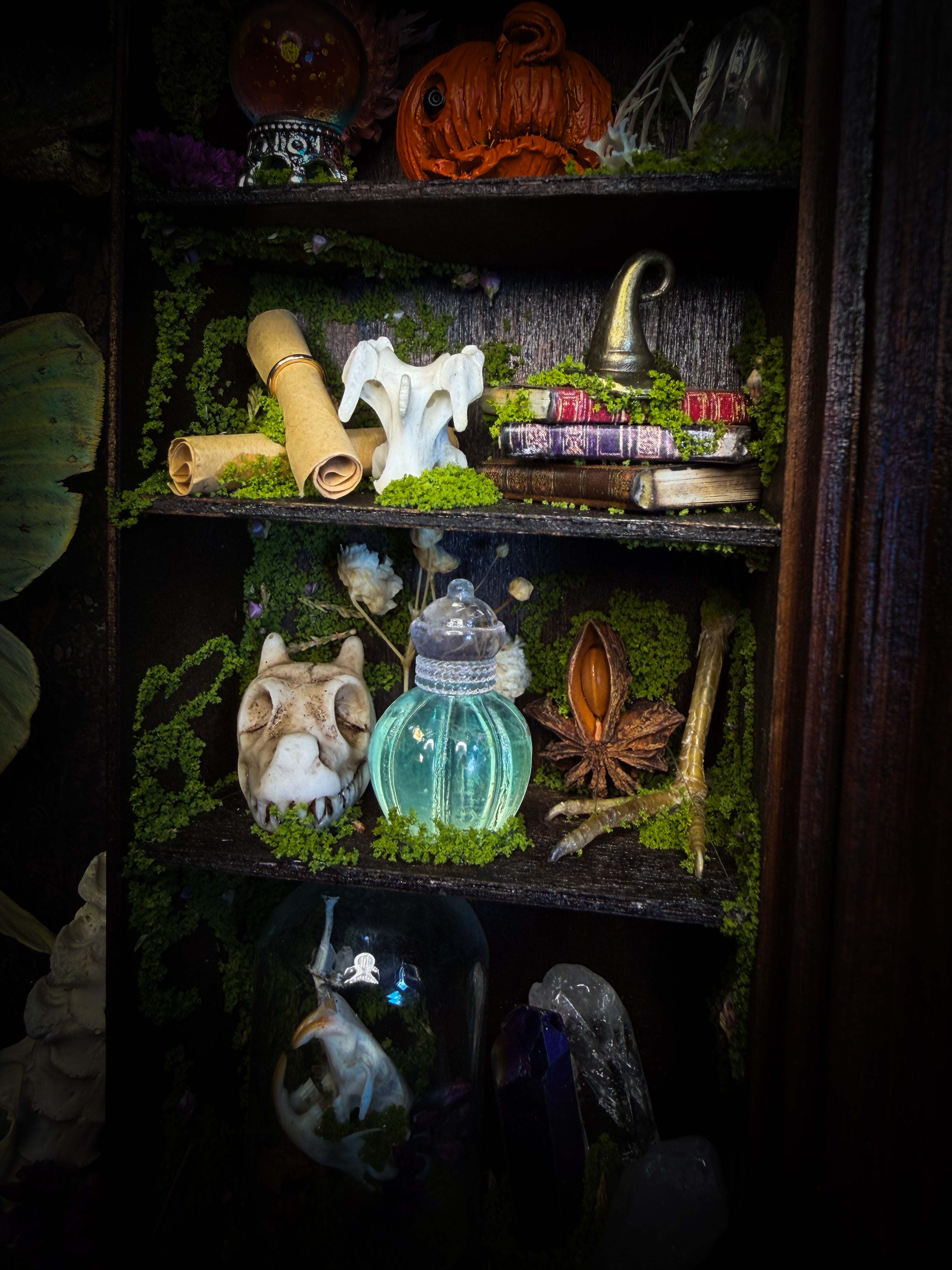 The Librarian | handmade whimsical witch's library shadowbox with Actias luna moth, miniature shelves, crystals, skulls, spell books and curiosities, dark wood frame with green velvet | Morbid Oddities
