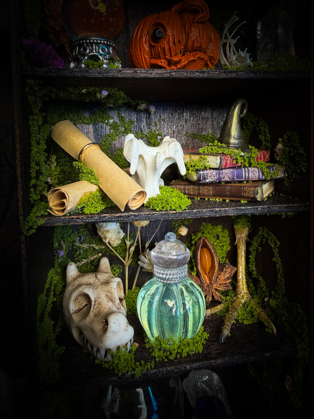 The Librarian | handmade whimsical witch's library shadowbox with Actias luna moth, miniature shelves, crystals, skulls, spell books and curiosities, dark wood frame with green velvet | Morbid Oddities
