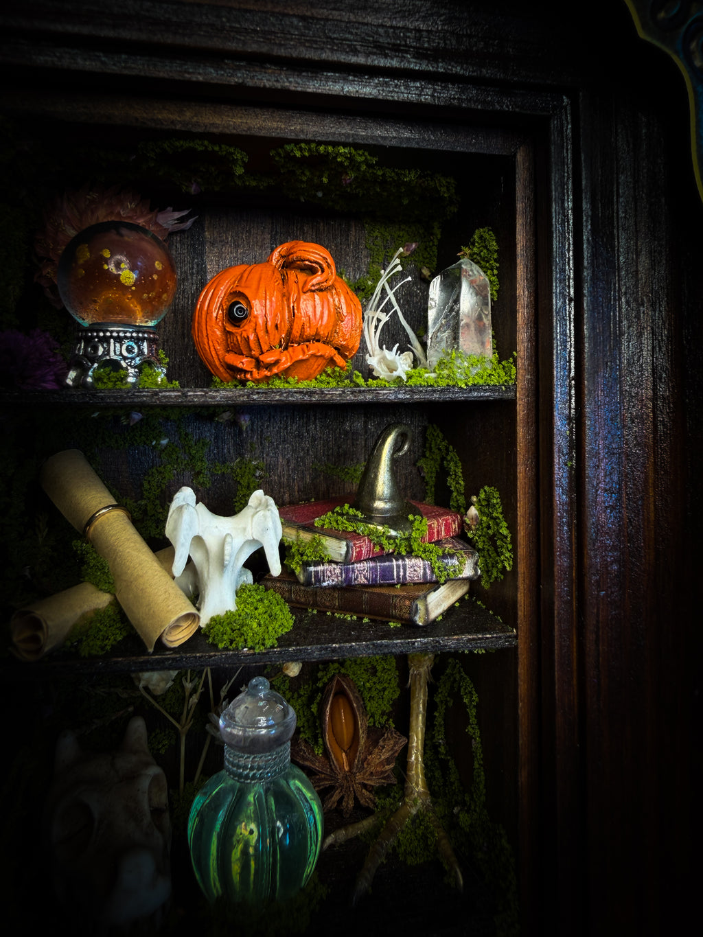 The Librarian | handmade whimsical witch's library shadowbox with Actias luna moth, miniature shelves, crystals, skulls, spell books and curiosities, dark wood frame with green velvet | Morbid Oddities

