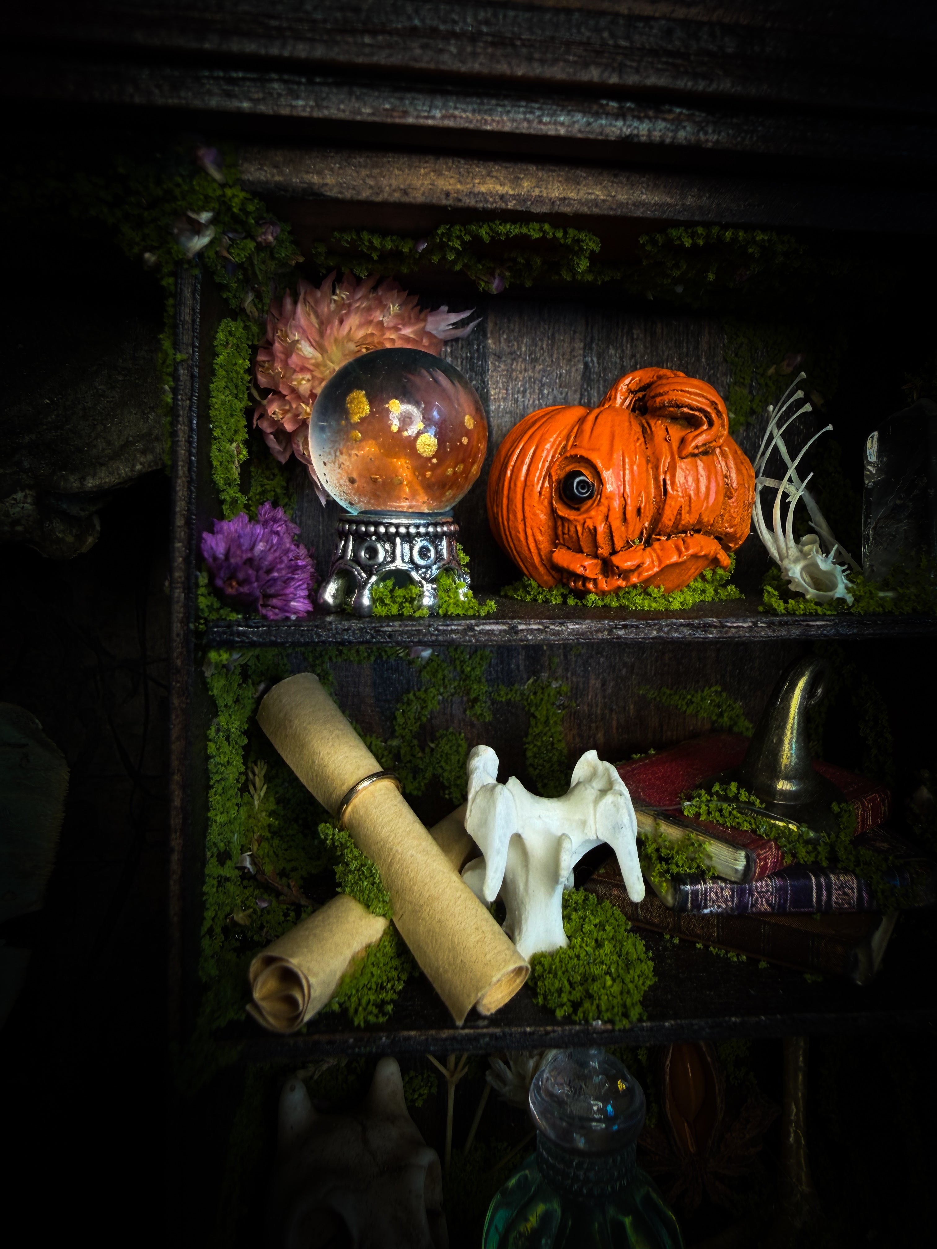 The Librarian | handmade whimsical witch's library shadowbox with Actias luna moth, miniature shelves, crystals, skulls, spell books and curiosities, dark wood frame with green velvet | Morbid Oddities
