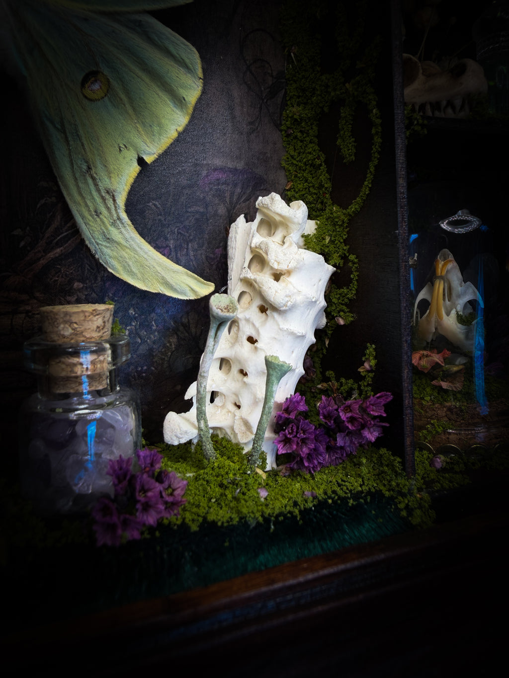 The Librarian | handmade whimsical witch's library shadowbox with Actias luna moth, miniature shelves, crystals, skulls, spell books and curiosities, dark wood frame with green velvet | Morbid Oddities
