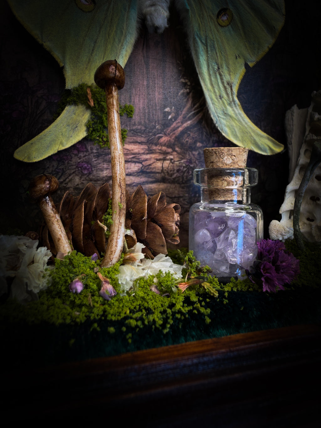 The Librarian | handmade whimsical witch's library shadowbox with Actias luna moth, miniature shelves, crystals, skulls, spell books and curiosities, dark wood frame with green velvet | Morbid Oddities
