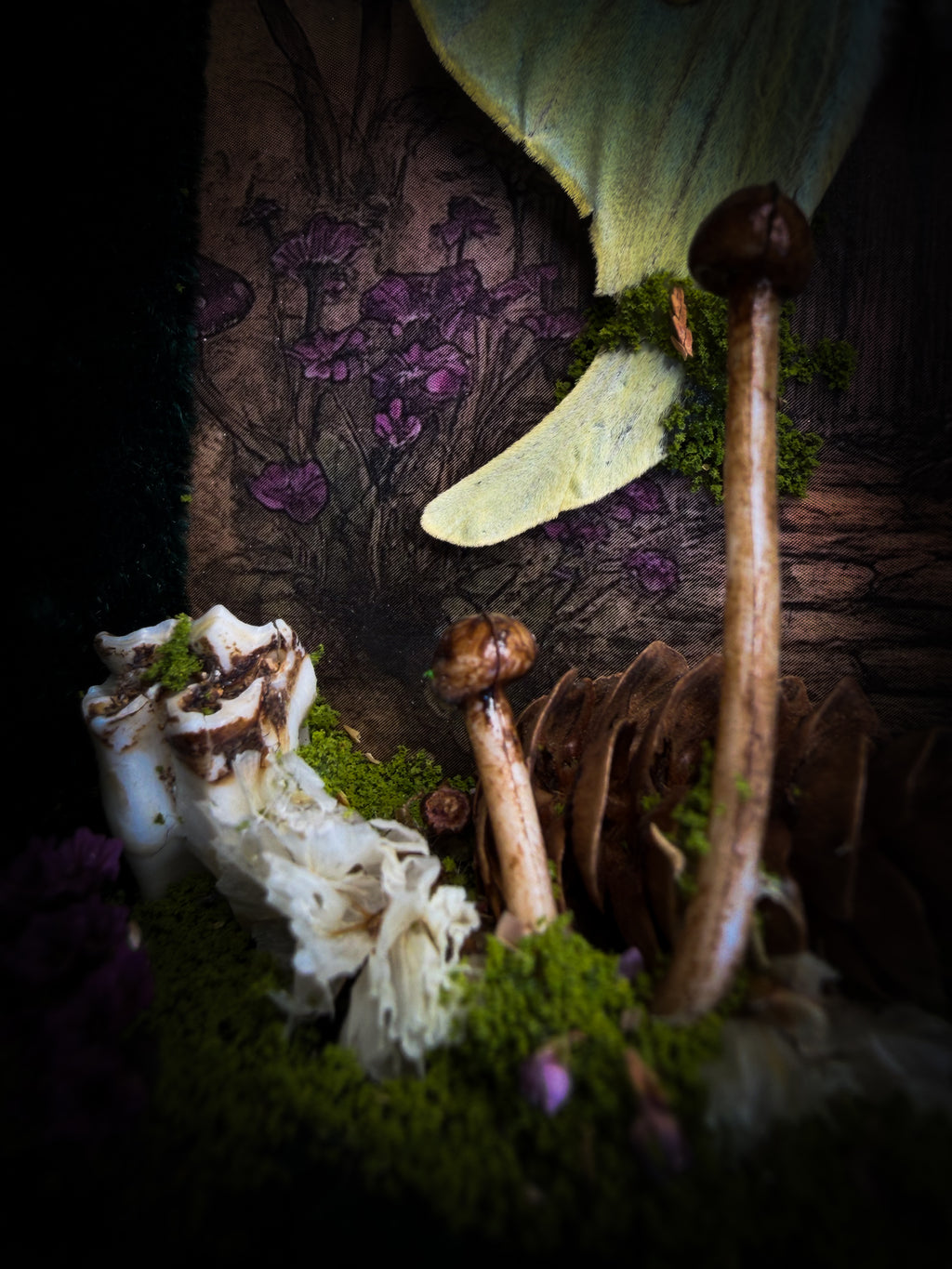 The Librarian | handmade whimsical witch's library shadowbox with Actias luna moth, miniature shelves, crystals, skulls, spell books and curiosities, dark wood frame with green velvet | Morbid Oddities
