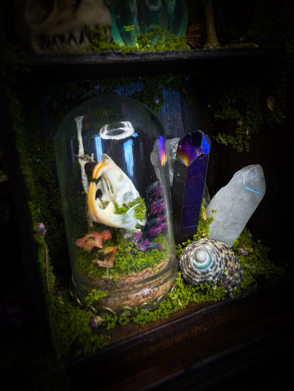 The Librarian | handmade whimsical witch's library shadowbox with Actias luna moth, miniature shelves, crystals, skulls, spell books and curiosities, dark wood frame with green velvet | Morbid Oddities

