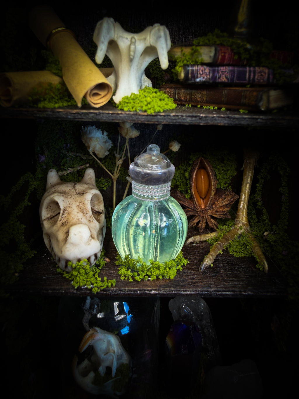 The Librarian | handmade whimsical witch's library shadowbox with Actias luna moth, miniature shelves, crystals, skulls, spell books and curiosities, dark wood frame with green velvet | Morbid Oddities
