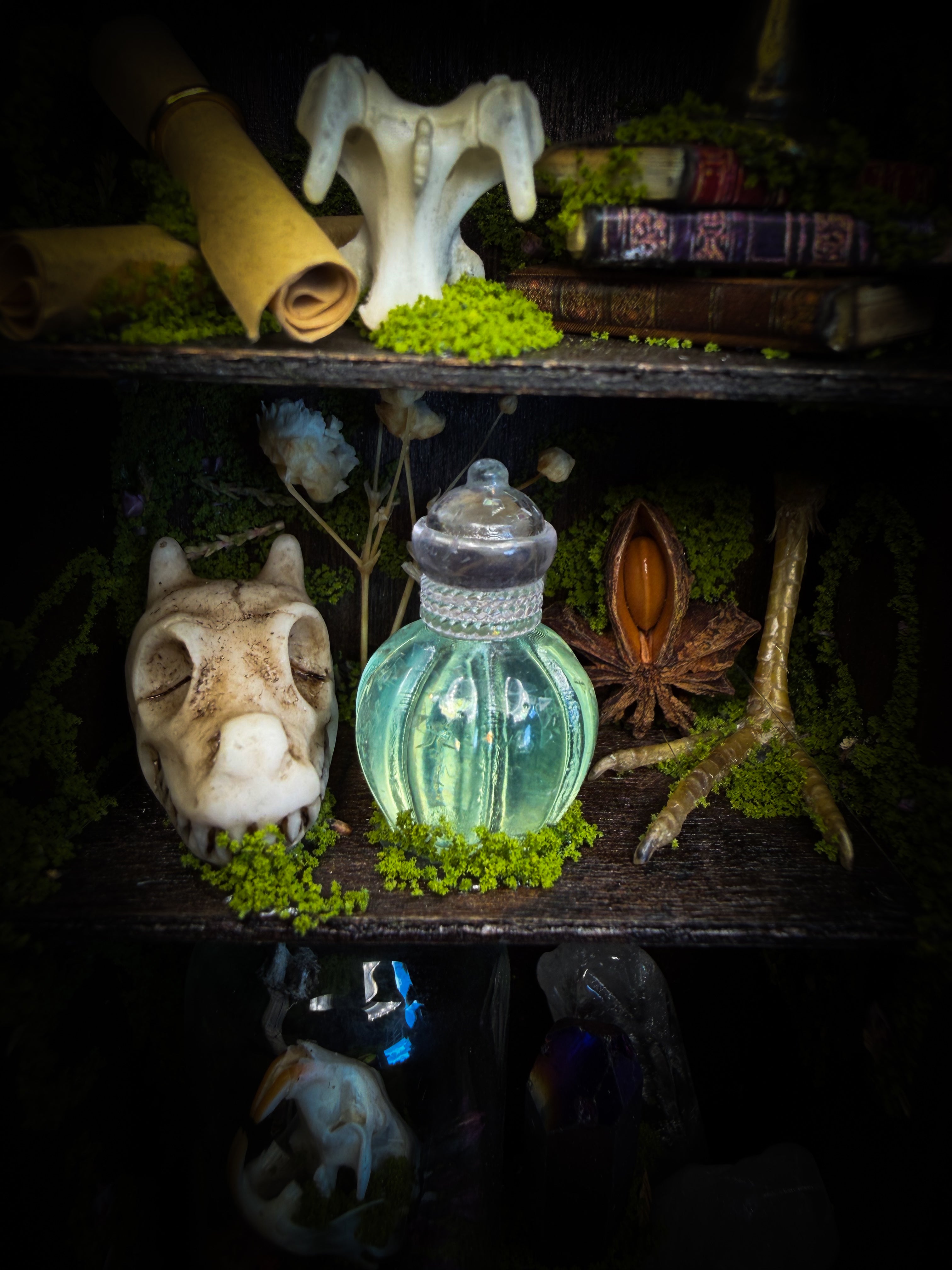 The Librarian | handmade whimsical witch's library shadowbox with Actias luna moth, miniature shelves, crystals, skulls, spell books and curiosities, dark wood frame with green velvet | Morbid Oddities
