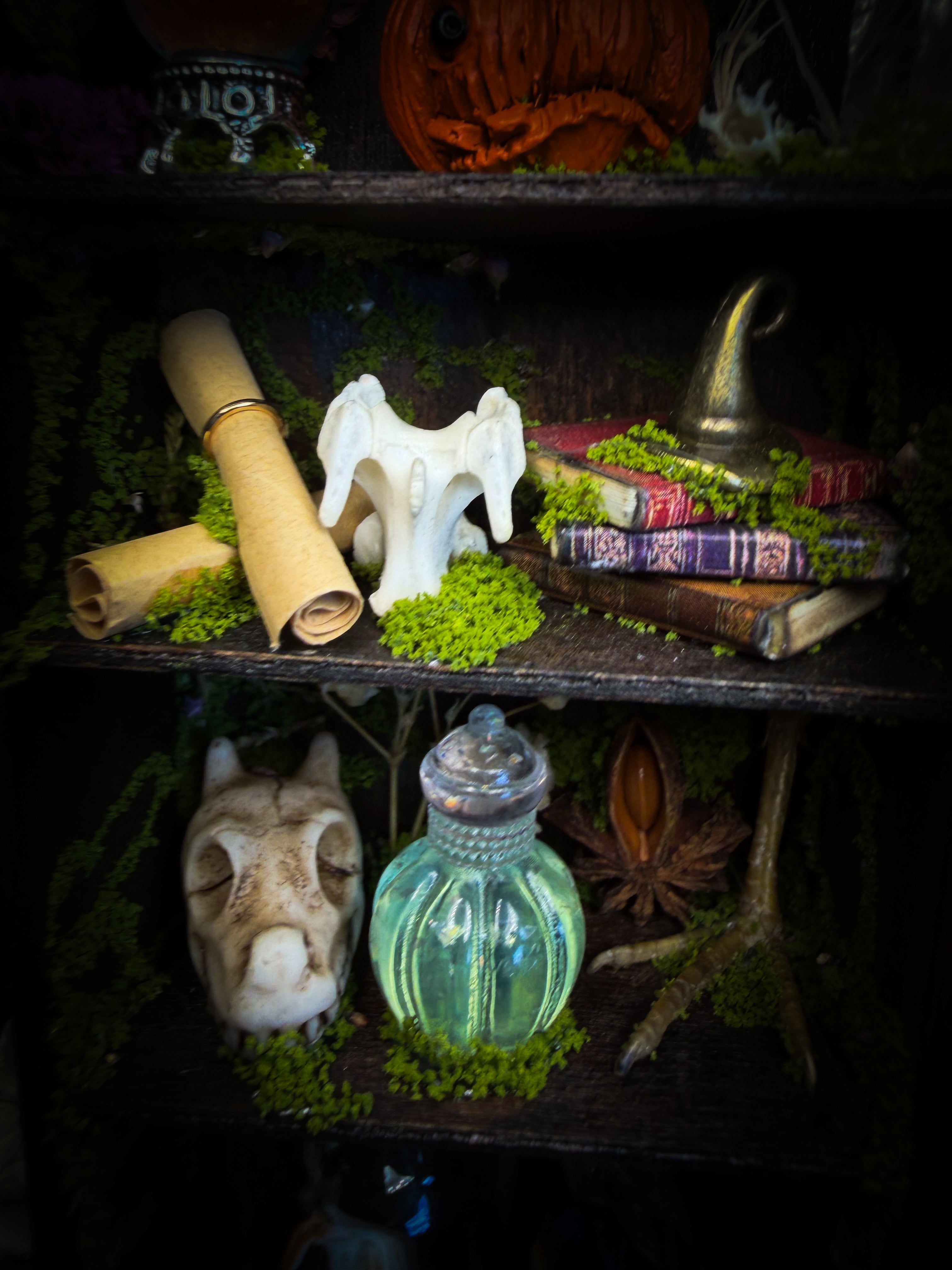 The Librarian | handmade whimsical witch's library shadowbox with Actias luna moth, miniature shelves, crystals, skulls, spell books and curiosities, dark wood frame with green velvet | Morbid Oddities
