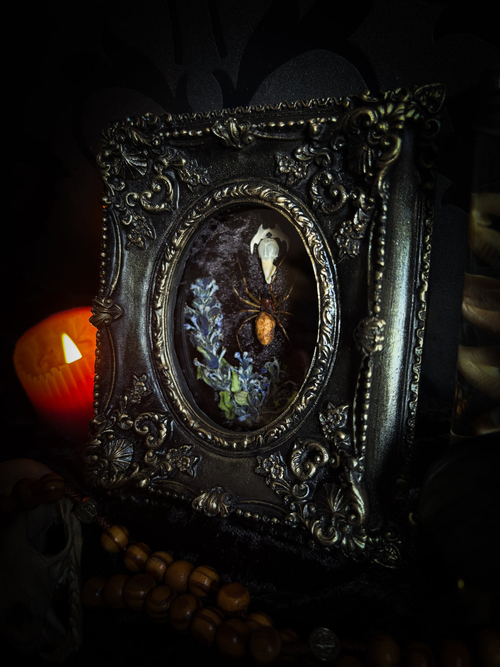 Arachne's Reliquary | handmade gothic shadowbox with Nephilengys malabarensis spider, shrew skull, black velvet and lace | Morbid Oddities
