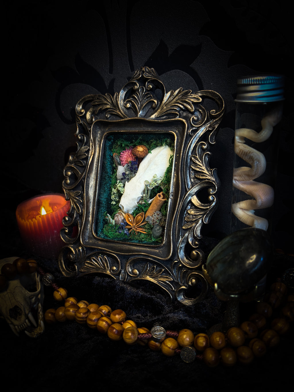 The Forest Keeps | handmade whimsical shadowbox with mink skull, moss, mushrooms, snail shell, crystals and dried botanicals, black and gold baroque frame | Morbid Oddities

