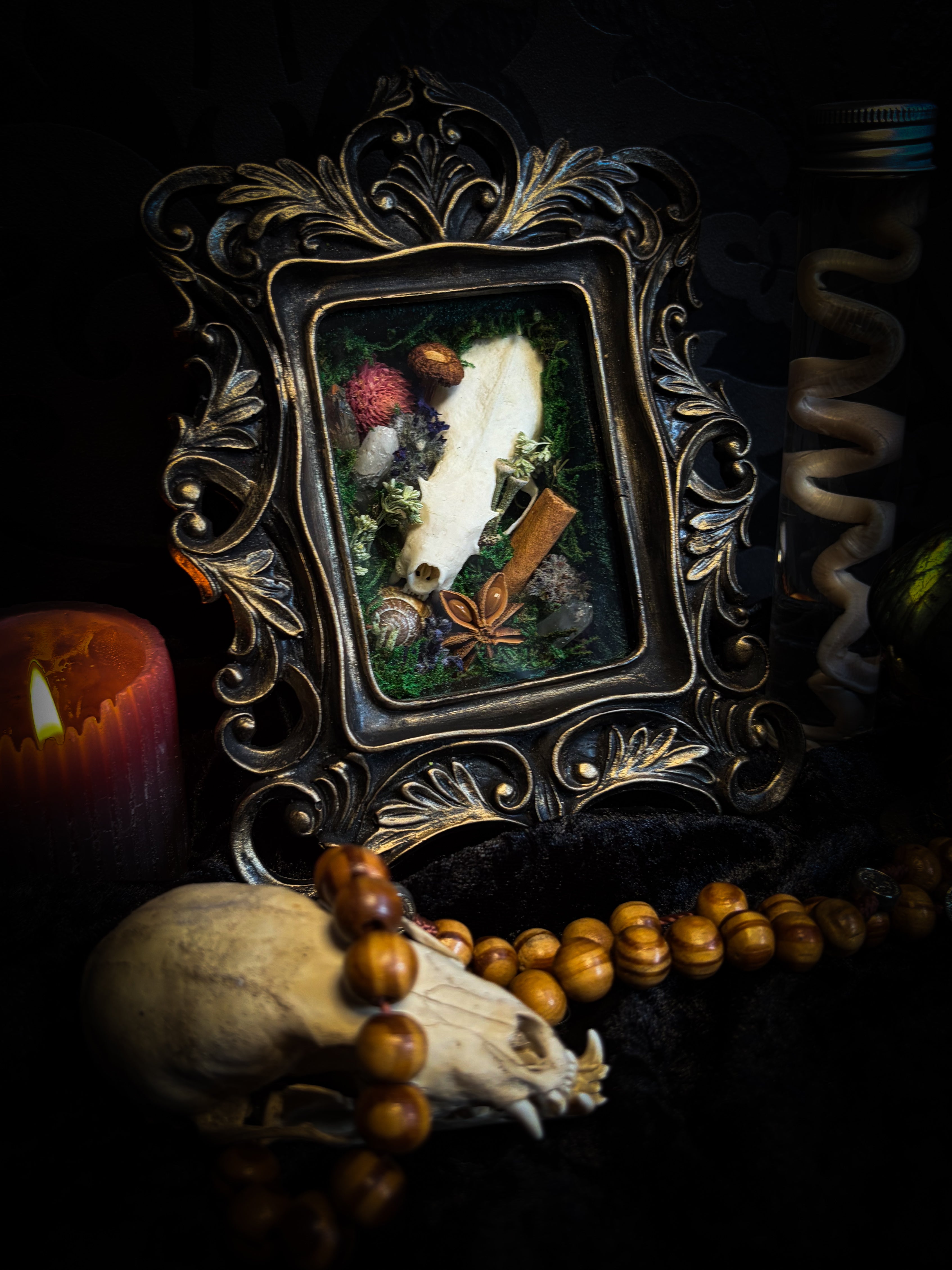 The Forest Keeps | handmade whimsical shadowbox with mink skull, moss, mushrooms, snail shell, crystals and dried botanicals, black and gold baroque frame | Morbid Oddities
