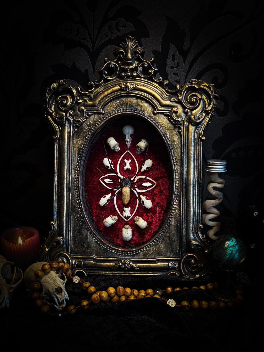 Ossuary Maswerk | handmade gothic shadowbox with Nephilia vitiana spider, real animal skulls and bones in bone maswerk, crimson velvet | Morbid Oddities
