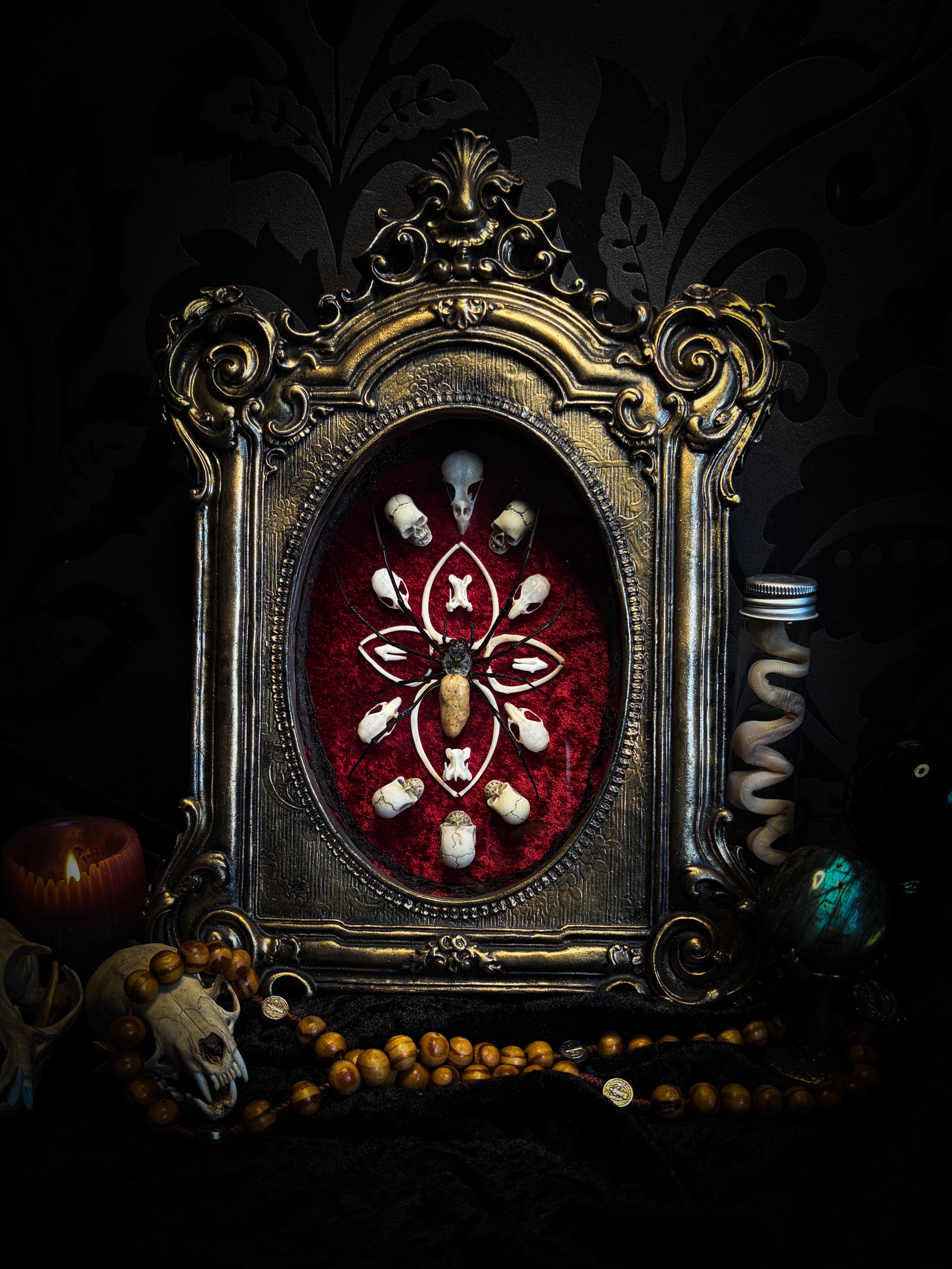 Ossuary Maswerk | handmade gothic shadowbox with Nephilia vitiana spider, real animal skulls and bones in bone maswerk, crimson velvet | Morbid Oddities

