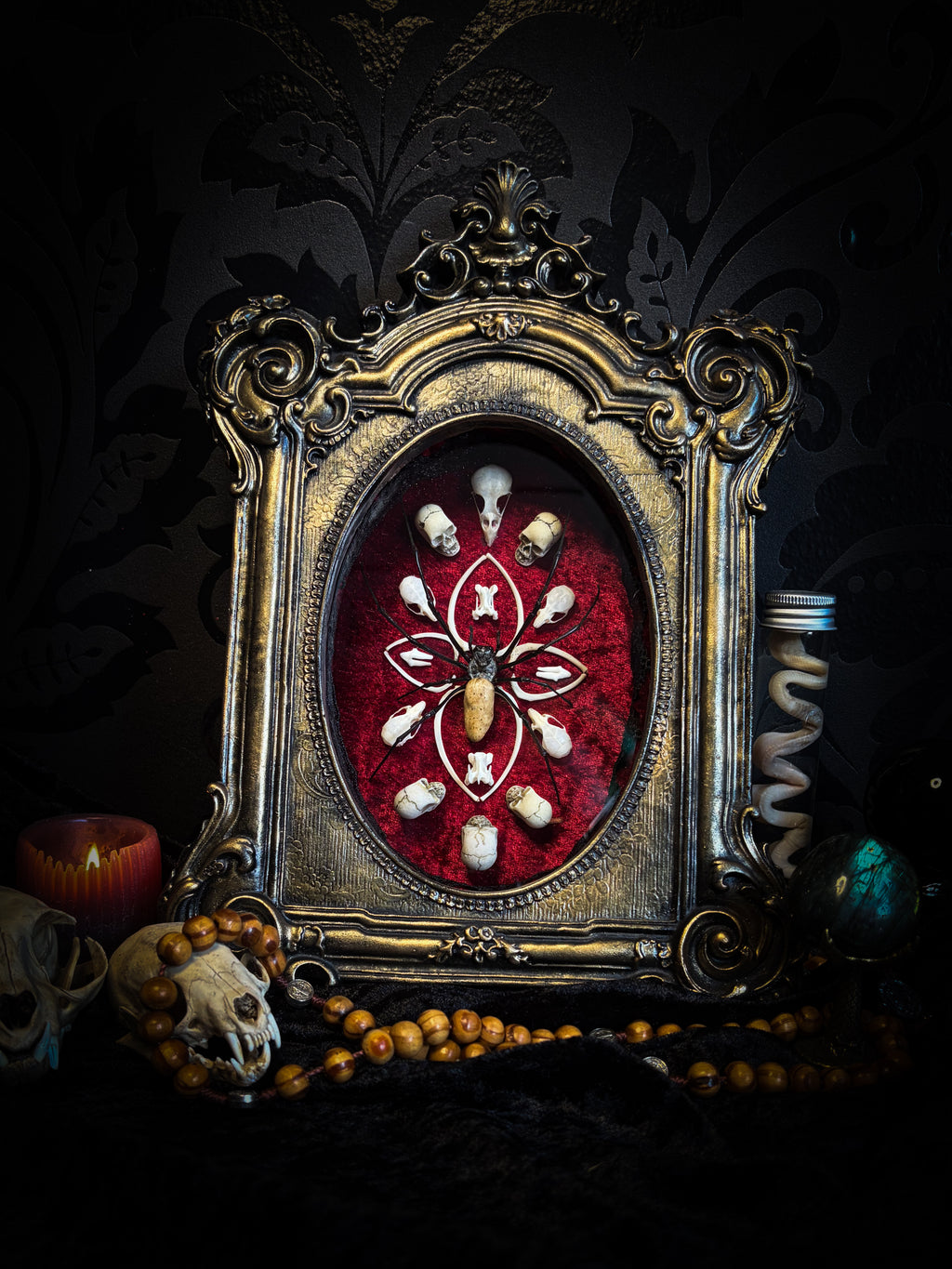 Ossuary Maswerk | handmade gothic shadowbox with Nephilia vitiana spider, real animal skulls and bones in bone maswerk, crimson velvet | Morbid Oddities
