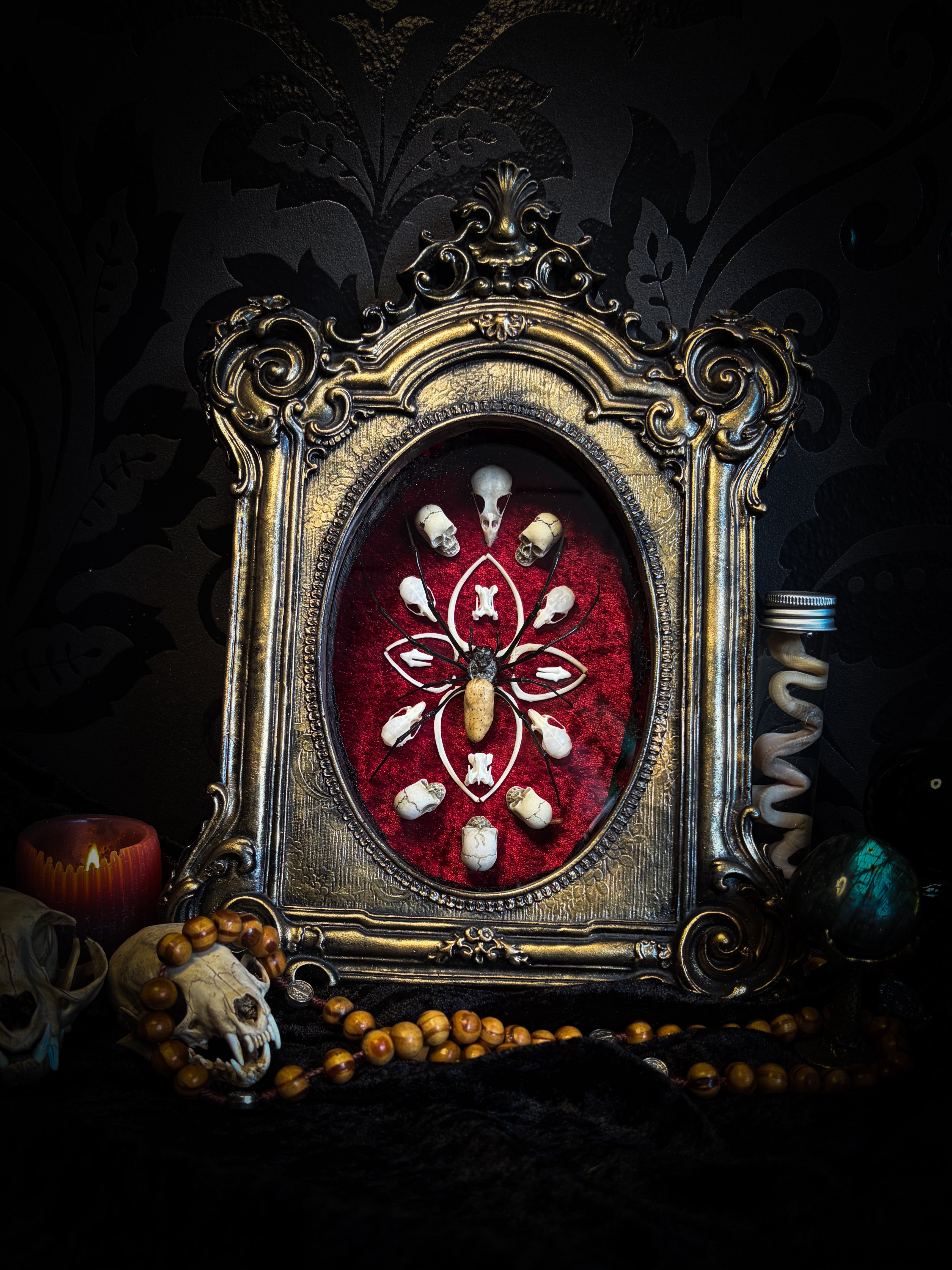 Ossuary Maswerk | handmade gothic shadowbox with Nephilia vitiana spider, real animal skulls and bones in bone maswerk, crimson velvet | Morbid Oddities
