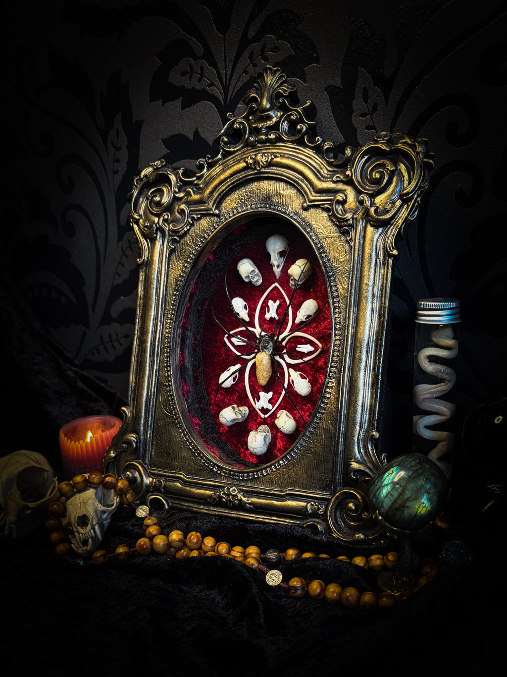 Ossuary Maswerk | handmade gothic shadowbox with Nephilia vitiana spider, real animal skulls and bones in bone maswerk, crimson velvet | Morbid Oddities
