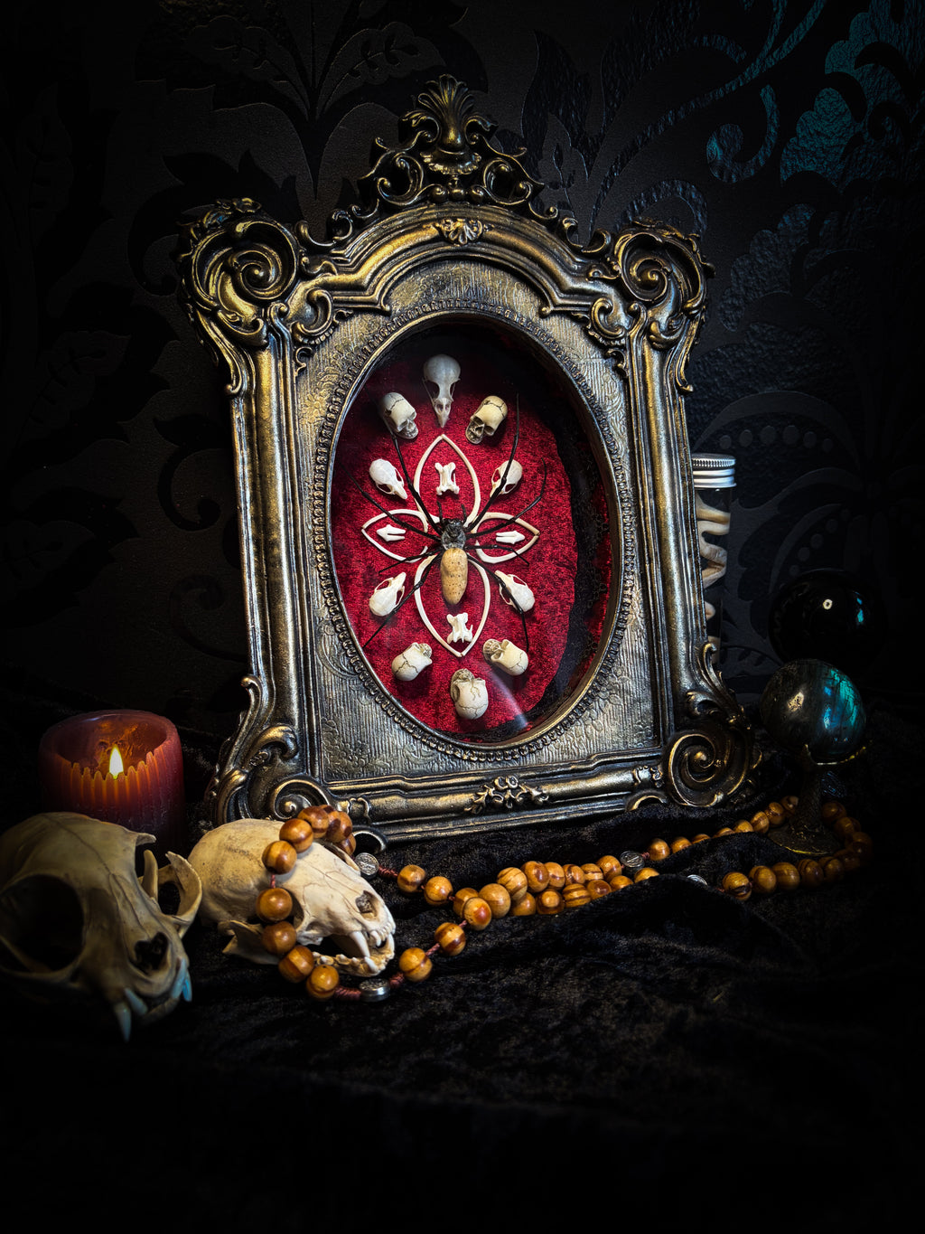 Ossuary Maswerk | handmade gothic shadowbox with Nephilia vitiana spider, real animal skulls and bones in bone maswerk, crimson velvet | Morbid Oddities
