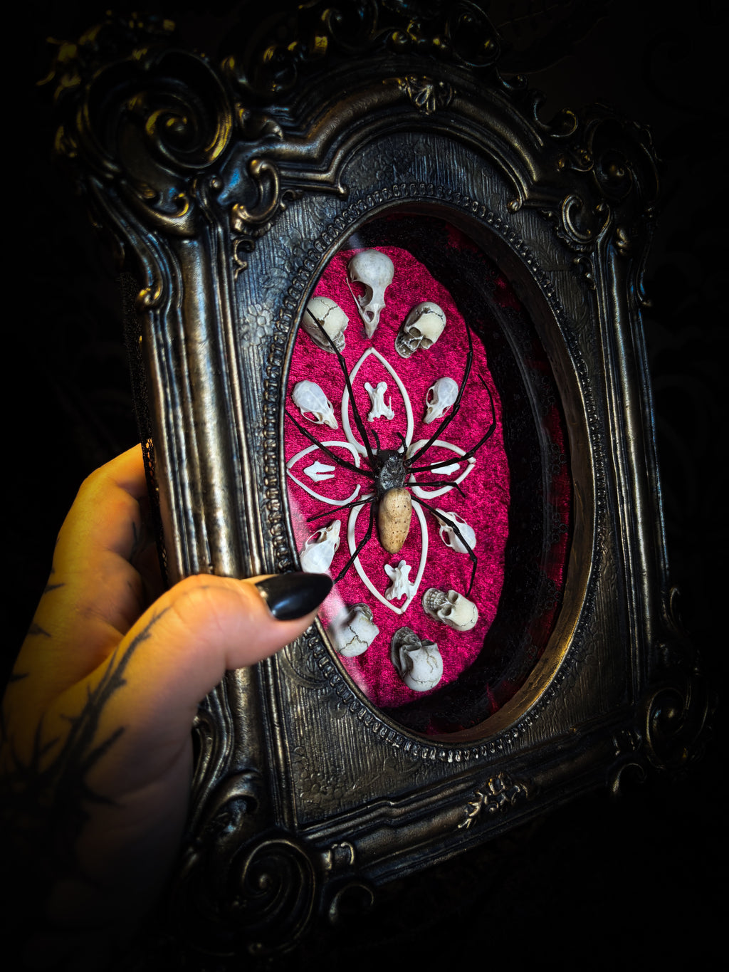 Ossuary Maswerk | handmade gothic shadowbox with Nephilia vitiana spider, real animal skulls and bones in bone maswerk, crimson velvet | Morbid Oddities
