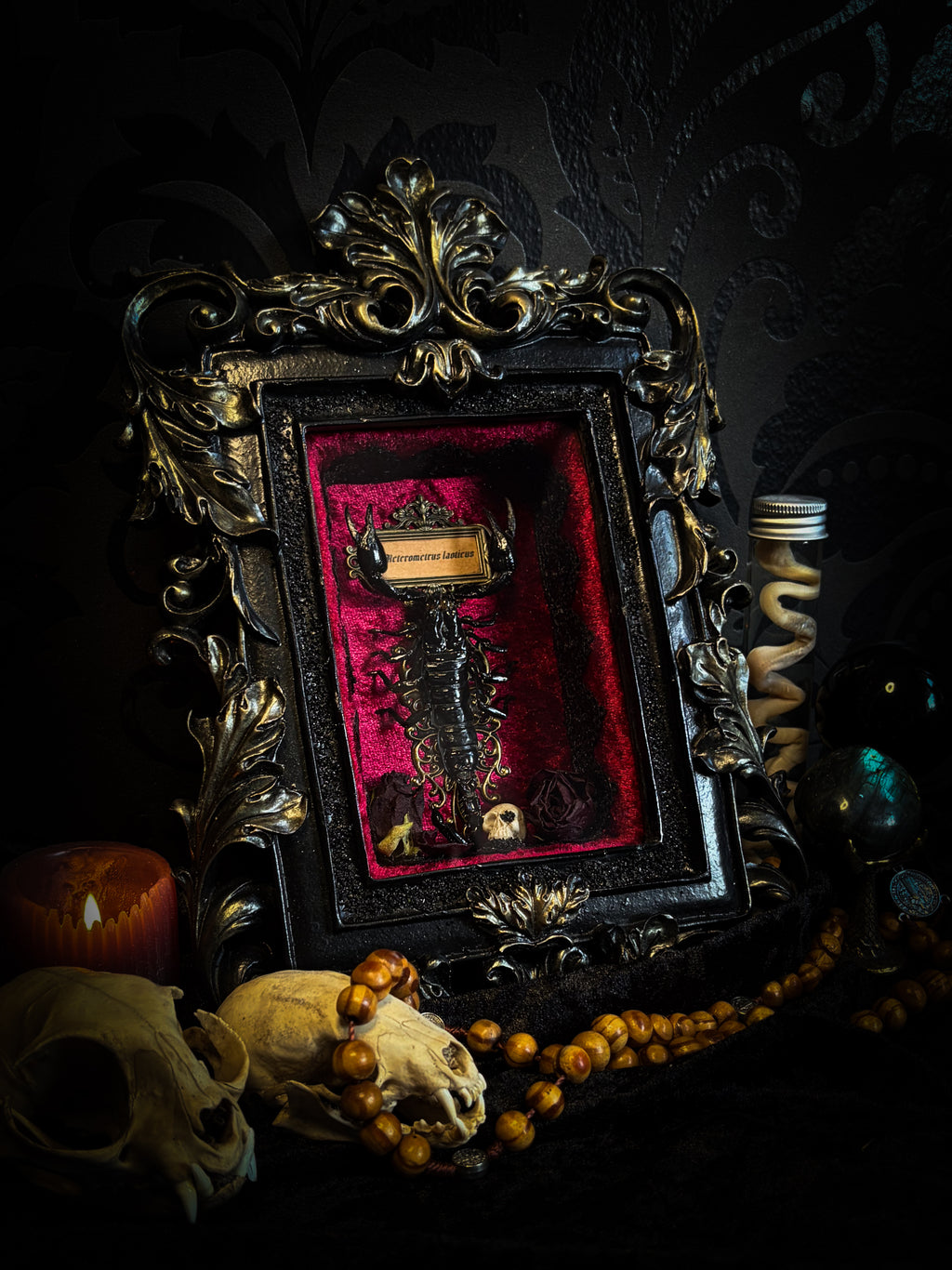 Crimson Throne | handmade gothic shadowbox with real preserved scorpion, crimson velvet, baroque hand-cast frame | Morbid Oddities
